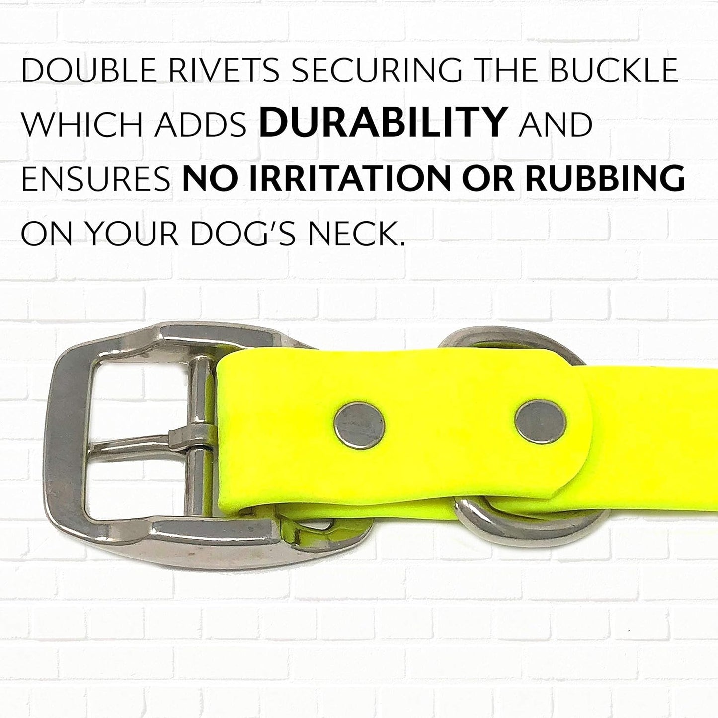Regal Dog Products Medium Orange Dog Collar with Heavy Duty Double Buckle & D Ring | Vinyl Coated, Custom Fit, Adjustable Biothane Dog Collar Chew Resistant Waterproof Center-Ring Collar for Dogs