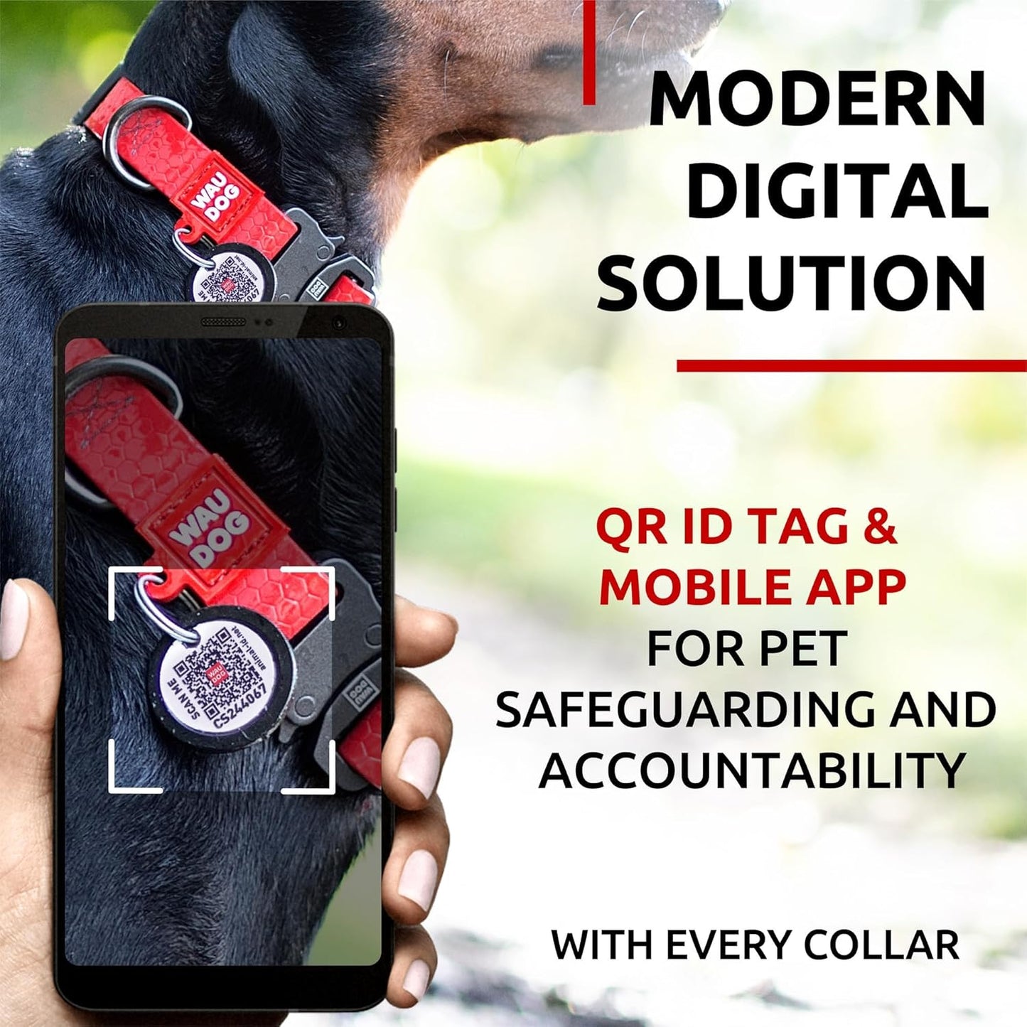Waterproof Dog Collar - Adjustable Glow Dog Collar for Large Dogs, Small and Medium Dogs - Heavy Duty Dog Collars with Durable Metal Clasp and QR Dog Tag - Glow in The Dark Dog Collars