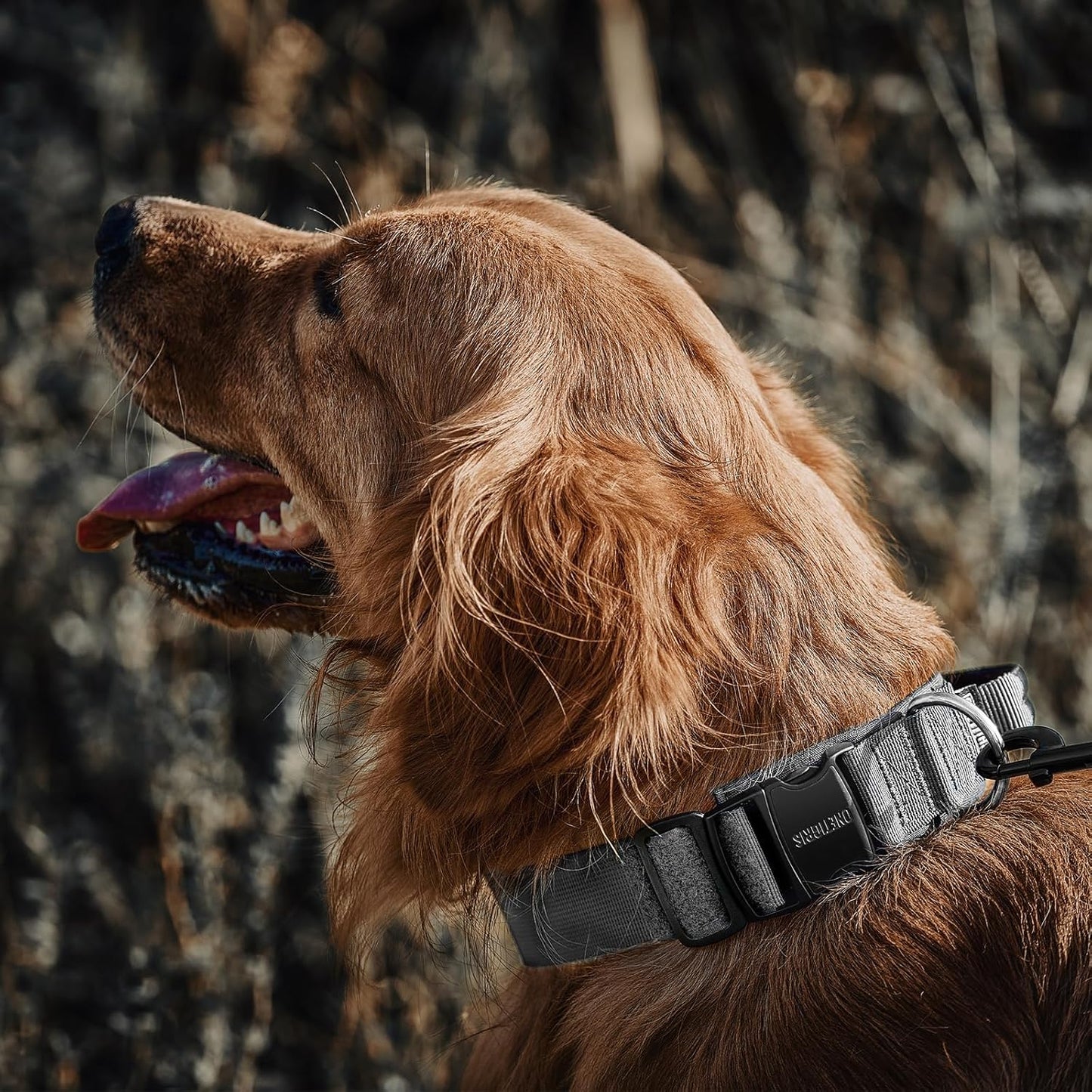 OneTigris Tactical Dog Collars with Handle,Military Dog Collar for Large Dog,Adjustable Nylon Collar German Shepherd Collar with Heavy Duty Metal Buckle for Dog Training and Walking (M, Orange)