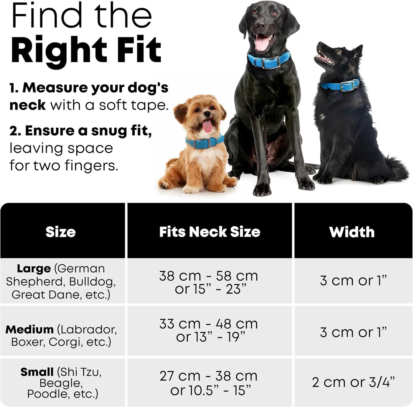 Regal Dog Products Medium Black Waterproof Dog Collar with Gold Buckle, Resilient and Durable Materials, Comfortable Design - for Small, Medium, and Large Breed Dogs