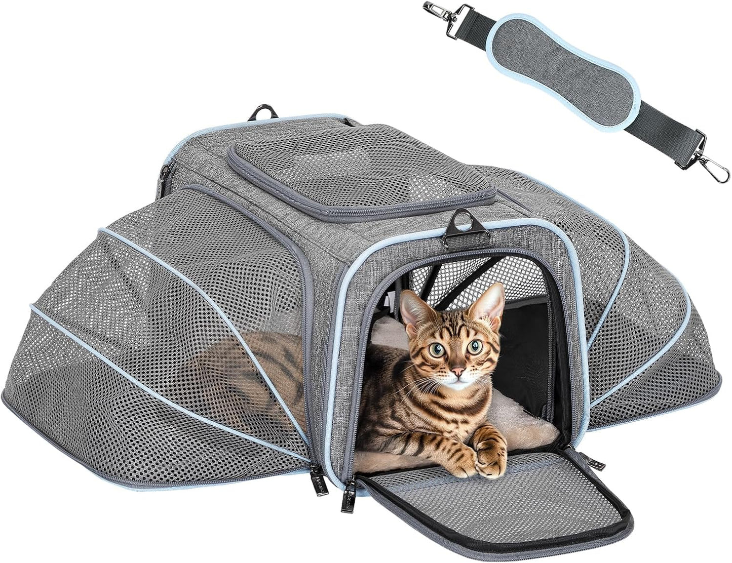 Petsfit Expandable Cat Dog Carrier Airline Approved, 17" L x 11" W x 11" H Soft-Sided Portable Pet Travel Carrier for Kitten, Puppy, Removable Soft Plush Mat and Pockets, Auto-Locking Zippers