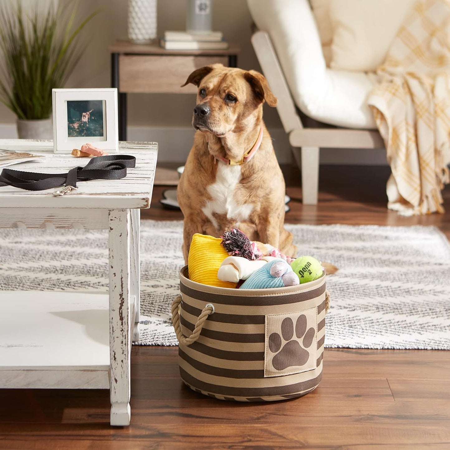 DII Bone Dry RoundSmall Pet Toy and Accessory Storage Bin, 12"(Dia) x9(H), Collapsible Organizer Storage Basket for Home Decor, Pet Toy, Blankets, Leashes and Food-Gray Stripes