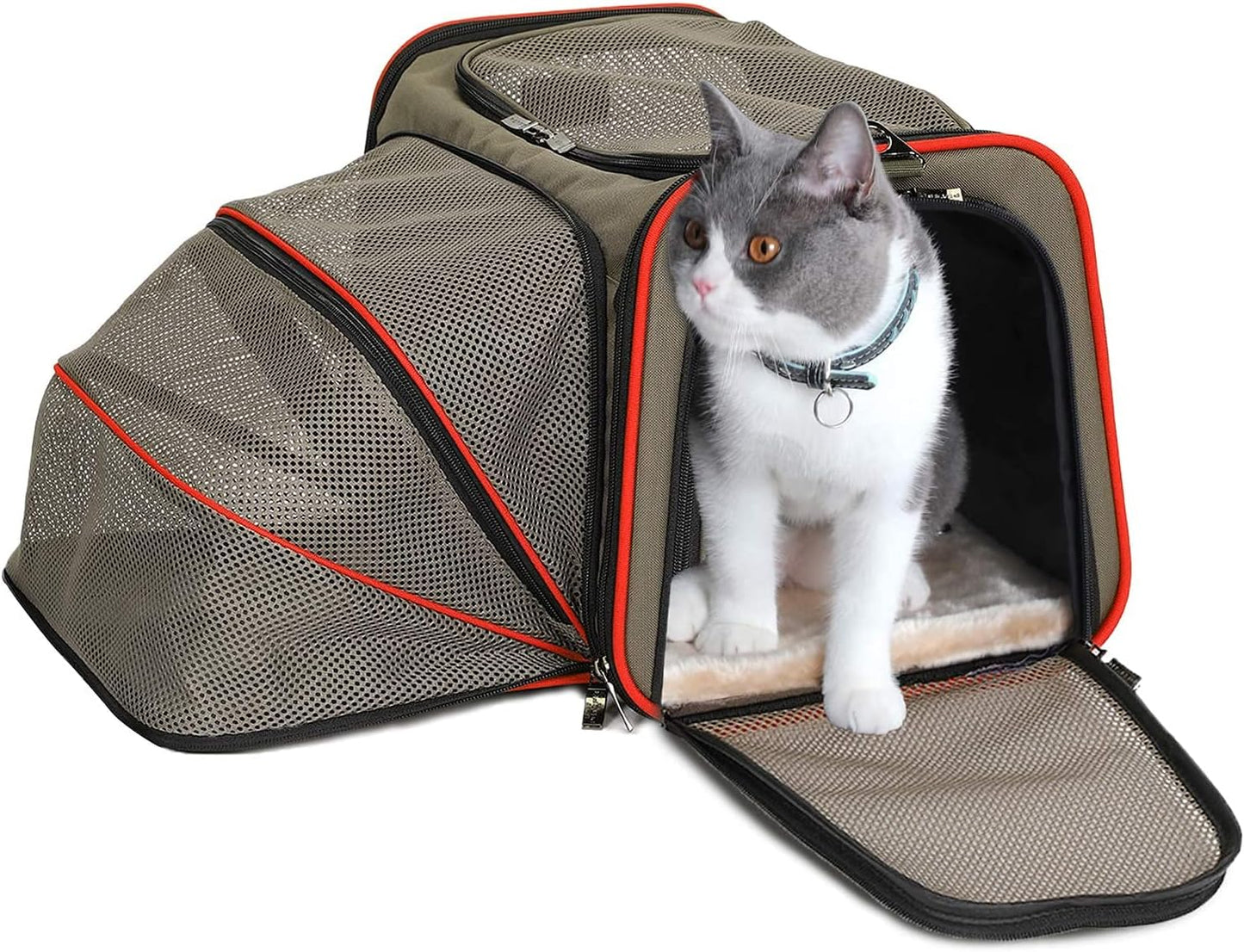 Petsfit Expandable Cat Dog Carrier Airline Approved, 17" L x 11" W x 11" H Soft-Sided Portable Pet Travel Carrier for Kitten, Puppy, Removable Soft Plush Mat and Pockets, Auto-Locking Zippers
