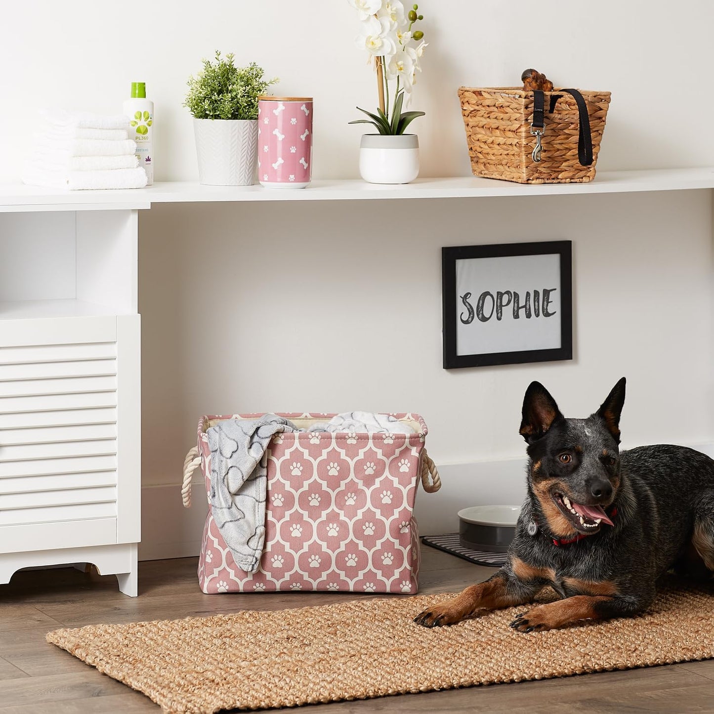 DII Bone Dry RoundSmall Pet Toy and Accessory Storage Bin, 12"(Dia) x9(H), Collapsible Organizer Storage Basket for Home Decor, Pet Toy, Blankets, Leashes and Food-Gray Stripes