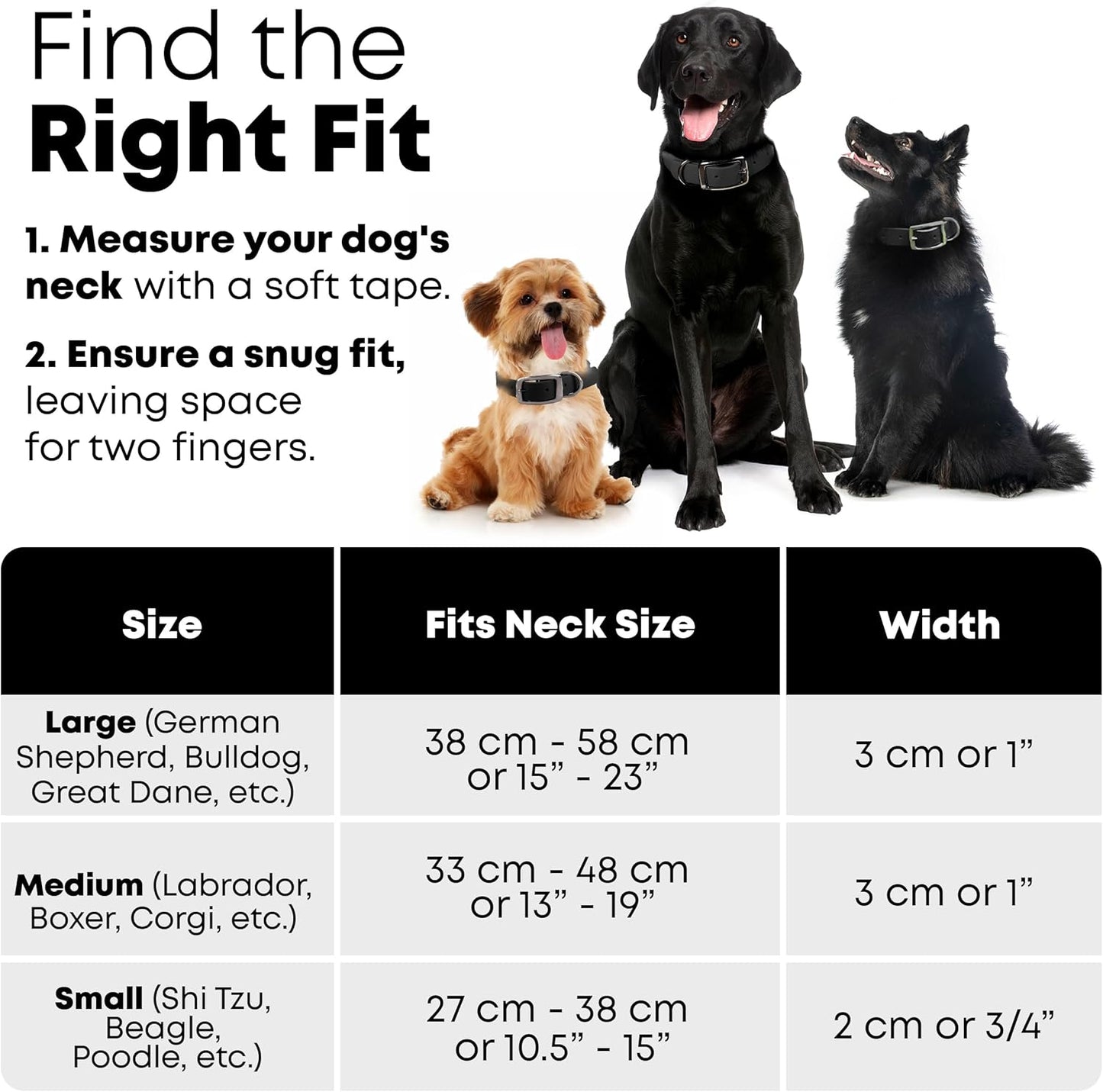 Regal Dog Products Medium Black Waterproof Dog Collar with Gold Buckle, Resilient and Durable Materials, Comfortable Design - for Small, Medium, and Large Breed Dogs