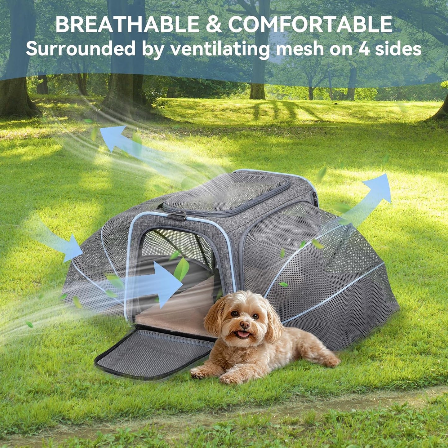 Petsfit Expandable Cat Dog Carrier Airline Approved, 17" L x 11" W x 11" H Soft-Sided Portable Pet Travel Carrier for Kitten, Puppy, Removable Soft Plush Mat and Pockets, Auto-Locking Zippers