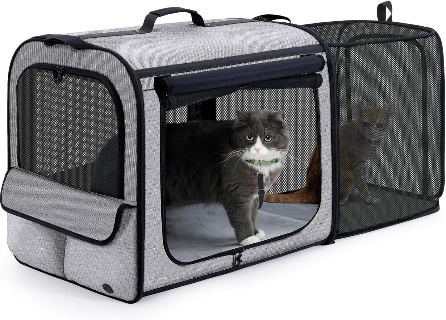 Pecute Collapsible Dog Crate for Pets<15kg, Pet Carrier Stable and Light Weight, Soft Dog Crate with Breathable Windows, Portable Dog Carrier with Curtain 61×45×52 cm (Green)