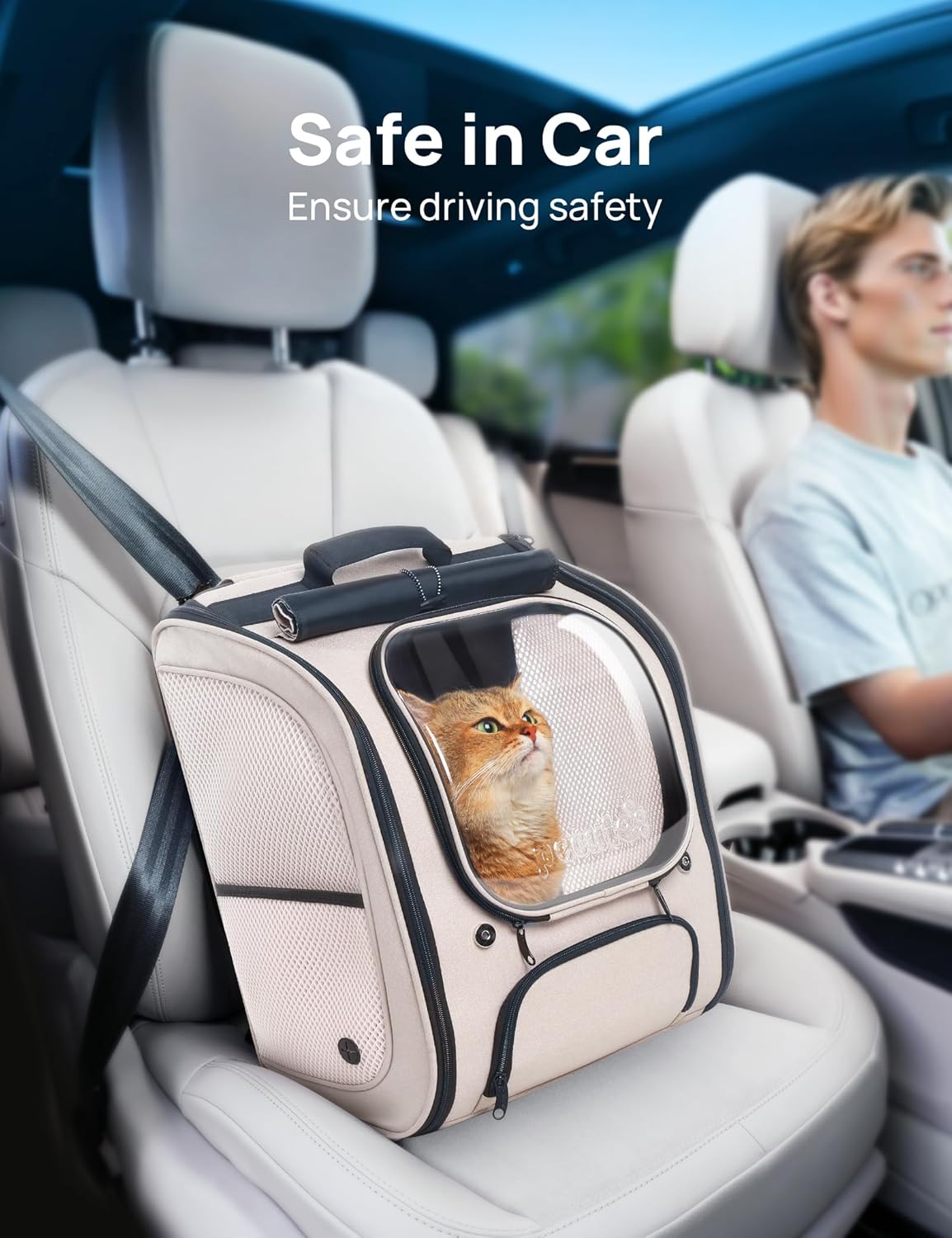 Pecute Bubble Cat Backpack, Large Space Cat Backpack Carrier with Breathable Mesh, Cat Carrier with Space Capsule Clear Bubble Window for Kitten and Puppy, Used in Travel Hiking Walking Outdoor,Green