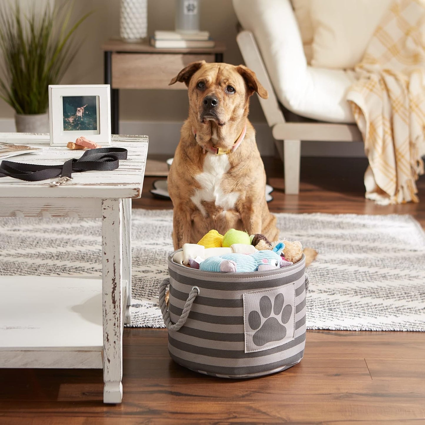 DII Bone Dry RoundSmall Pet Toy and Accessory Storage Bin, 12"(Dia) x9(H), Collapsible Organizer Storage Basket for Home Decor, Pet Toy, Blankets, Leashes and Food-Gray Stripes