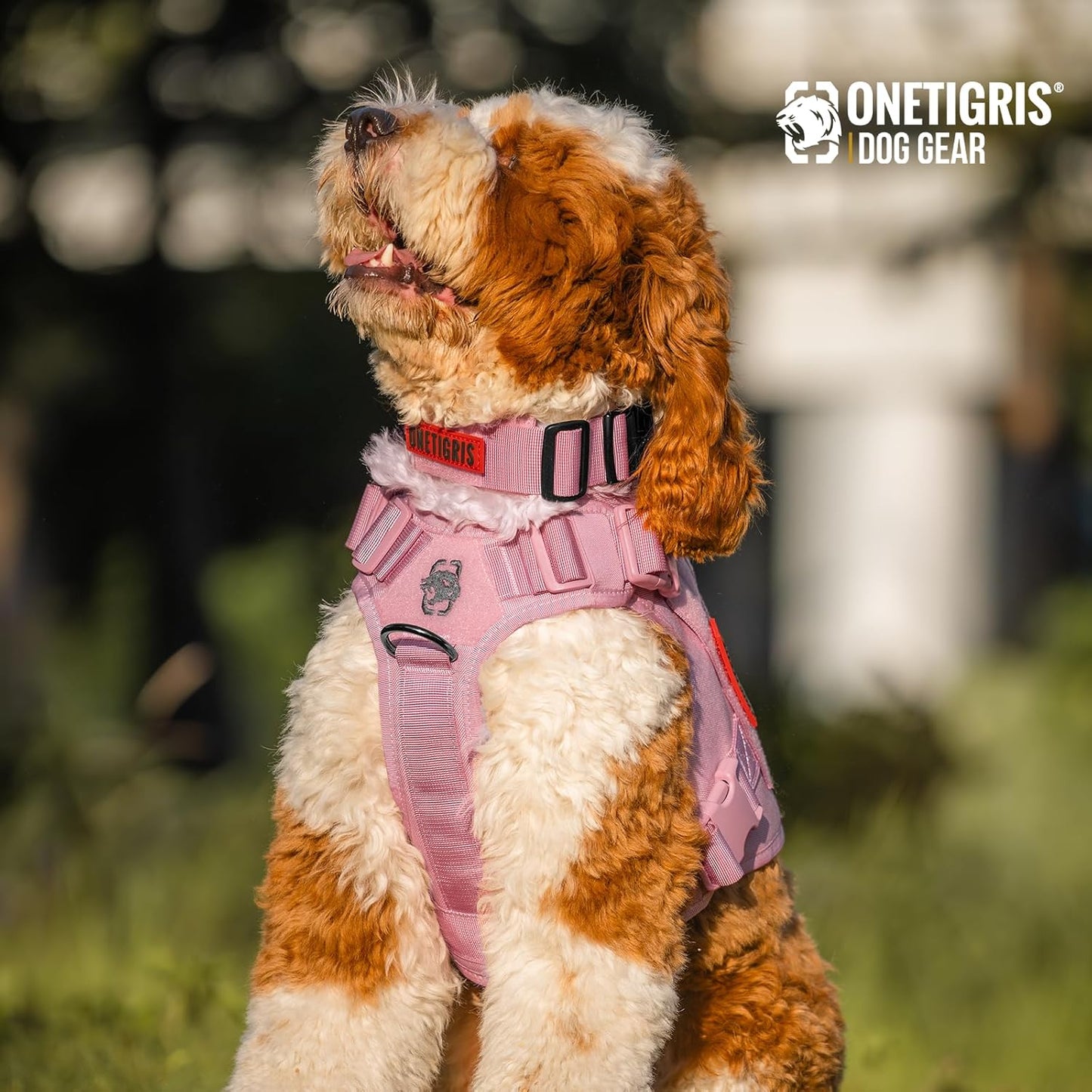 OneTigris Tactical Dog Collars with Handle,Military Dog Collar for Large Dog,Adjustable Nylon Collar German Shepherd Collar with Heavy Duty Metal Buckle for Dog Training and Walking (M, Orange)