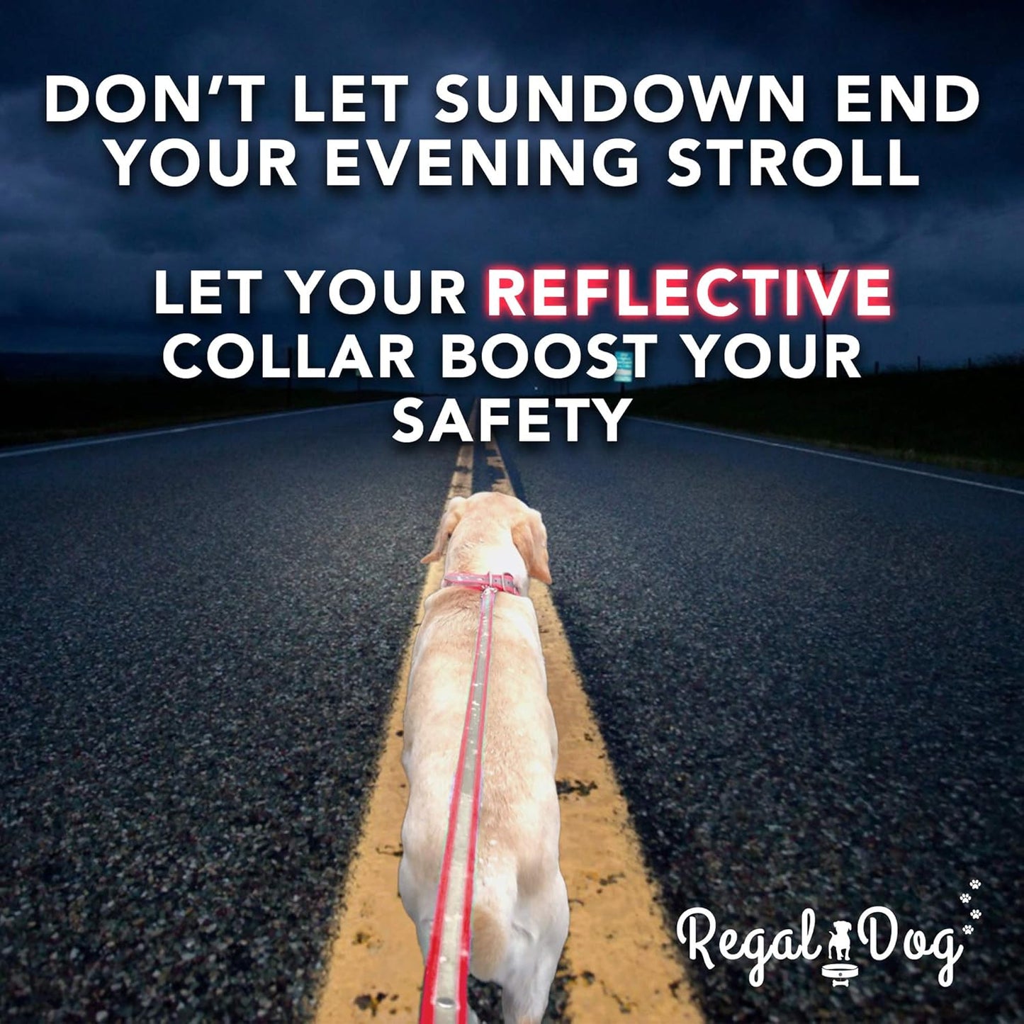 Regal Dog Products Large Pink Heavy Duty Reflective Dog Collar with Center Ring, Metal Buckle and D Ring | Anti-Odor Adjustable Biothane Waterproof Dog Collar | Other Sizes for Small & Medium Dogs