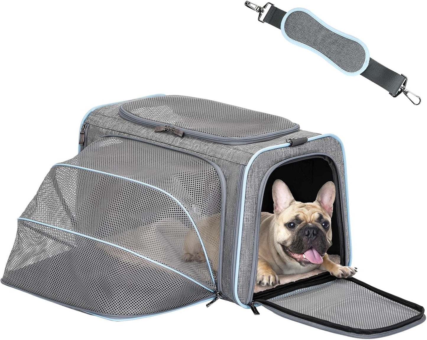 Petsfit Expandable Cat Dog Carrier Airline Approved, 17" L x 11" W x 11" H Soft-Sided Portable Pet Travel Carrier for Kitten, Puppy, Removable Soft Plush Mat and Pockets, Auto-Locking Zippers