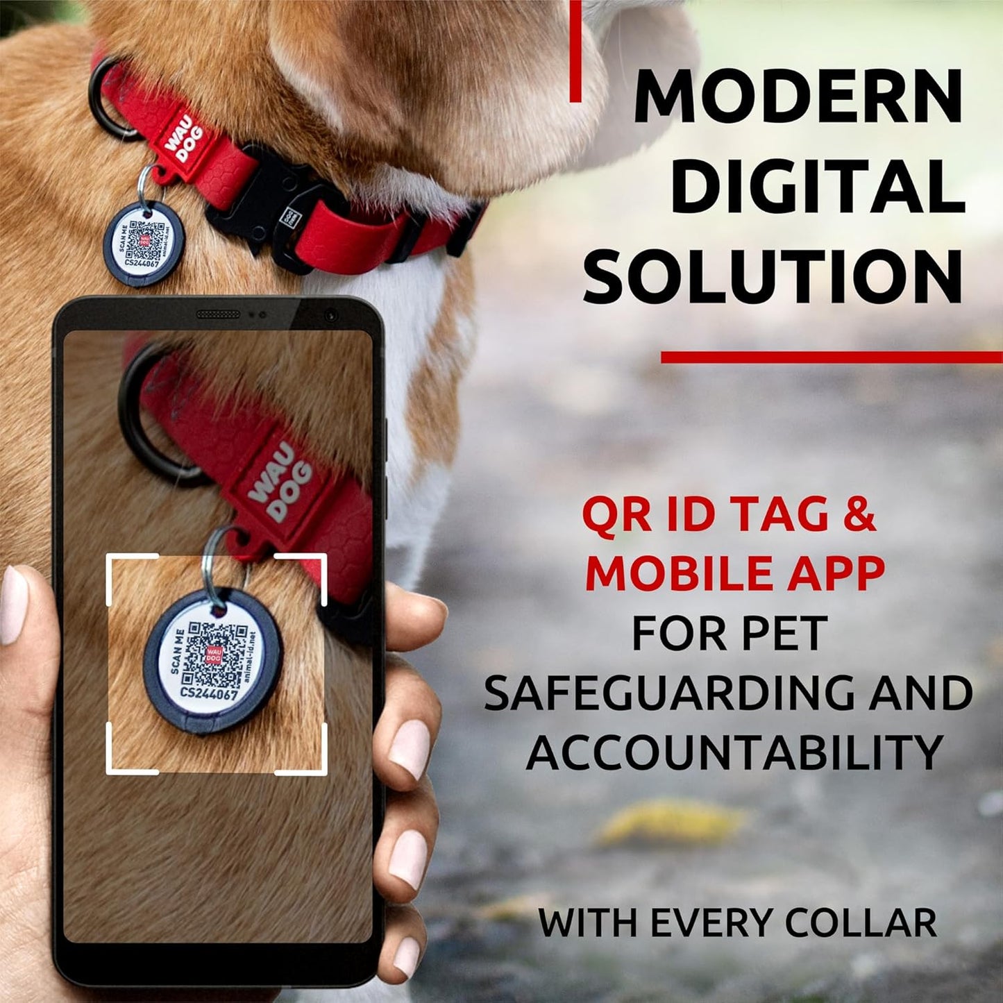 Waterproof Dog Collar - Adjustable Glow Dog Collar for Large Dogs, Small and Medium Dogs - Heavy Duty Dog Collars with Durable Metal Clasp and QR Dog Tag - Glow in The Dark Dog Collars