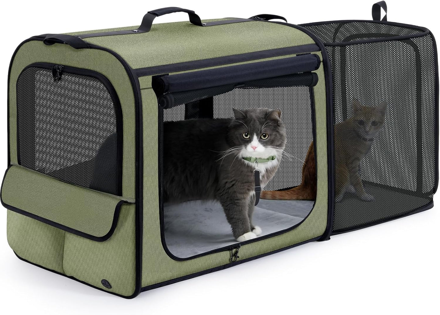 Pecute Collapsible Dog Crate for Pets<15kg, Pet Carrier Stable and Light Weight, Soft Dog Crate with Breathable Windows, Portable Dog Carrier with Curtain 61×45×52 cm (Green)