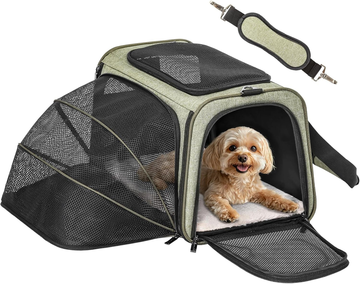 Petsfit Expandable Cat Dog Carrier Airline Approved, 17" L x 11" W x 11" H Soft-Sided Portable Pet Travel Carrier for Kitten, Puppy, Removable Soft Plush Mat and Pockets, Auto-Locking Zippers