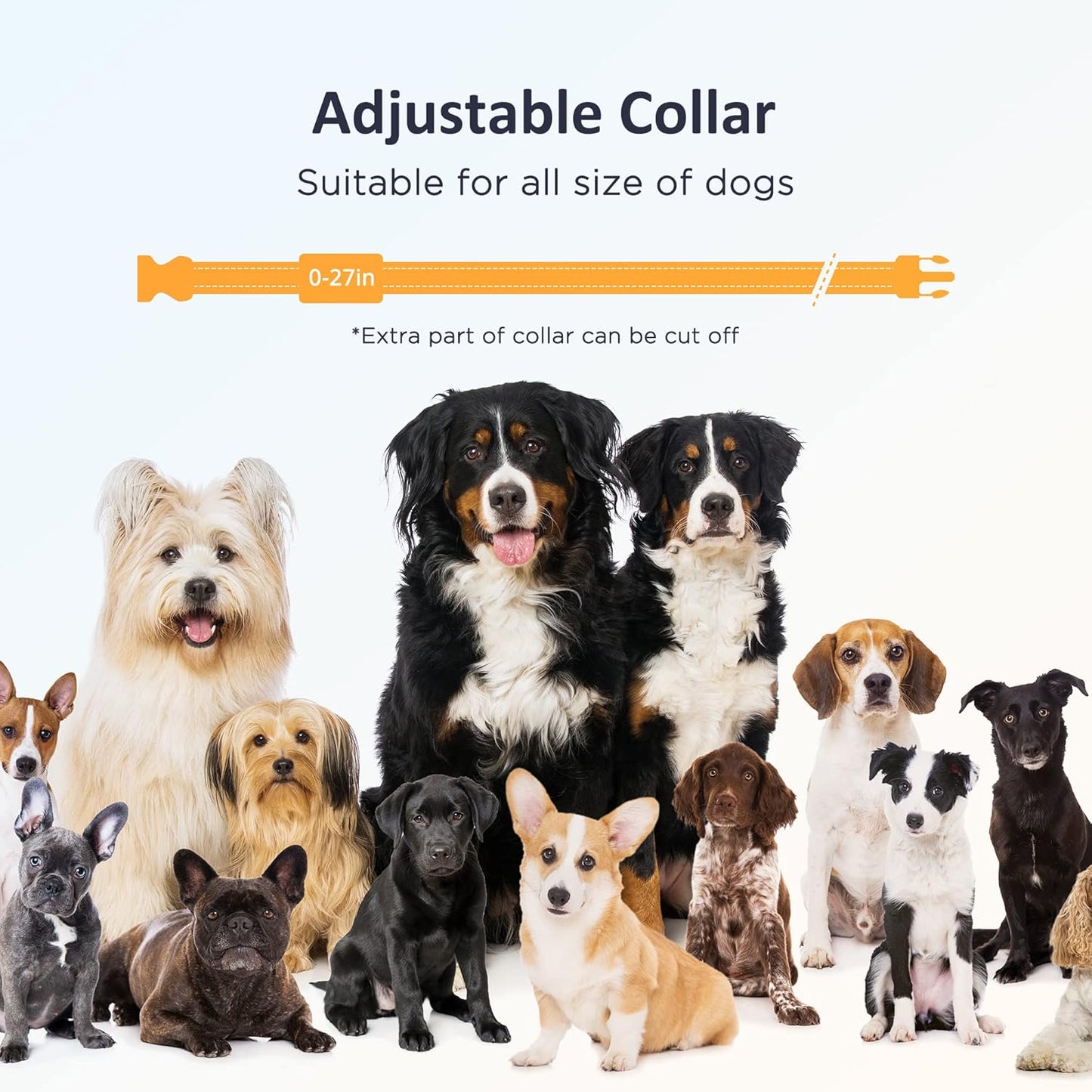 PATPET Dog Training Collar with Remote - Electric Dog Shock Collar for Small Medium Large Dogs - 3 Adjustable Safe Modes, Rechargeable Waterproof E Collar for Dogs (8-120 lbs)