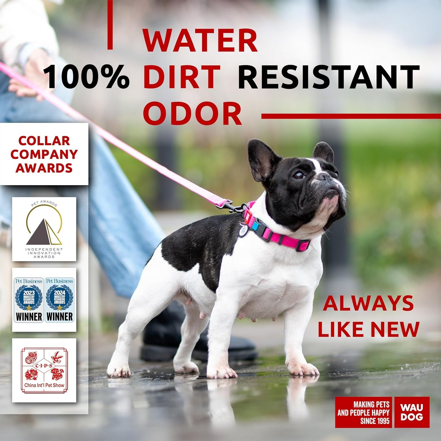 Waterproof Dog Collar - Adjustable Glow Dog Collar for Large Dogs, Small and Medium Dogs - Heavy Duty Dog Collars with Durable Metal Clasp and QR Dog Tag - Glow in The Dark Dog Collars