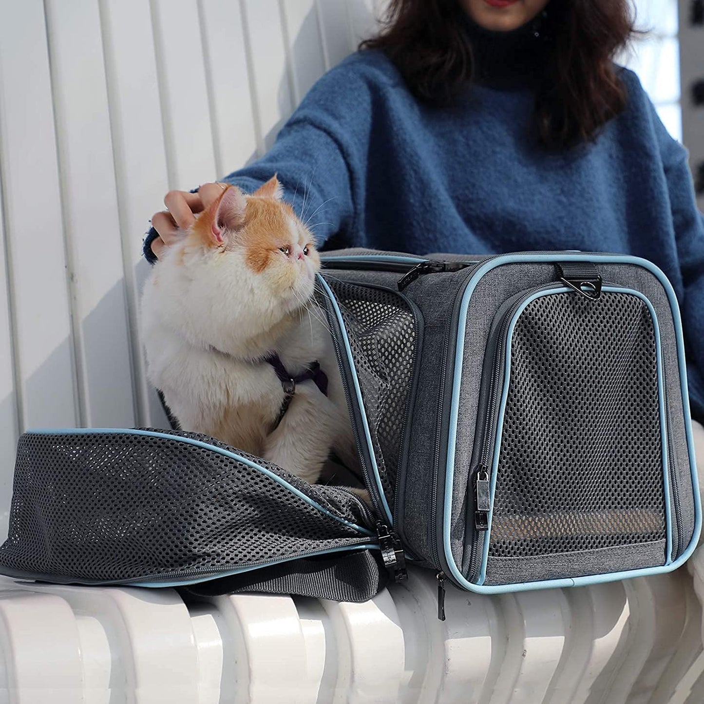 Petsfit Expandable Cat Dog Carrier Airline Approved, 17" L x 11" W x 11" H Soft-Sided Portable Pet Travel Carrier for Kitten, Puppy, Removable Soft Plush Mat and Pockets, Auto-Locking Zippers