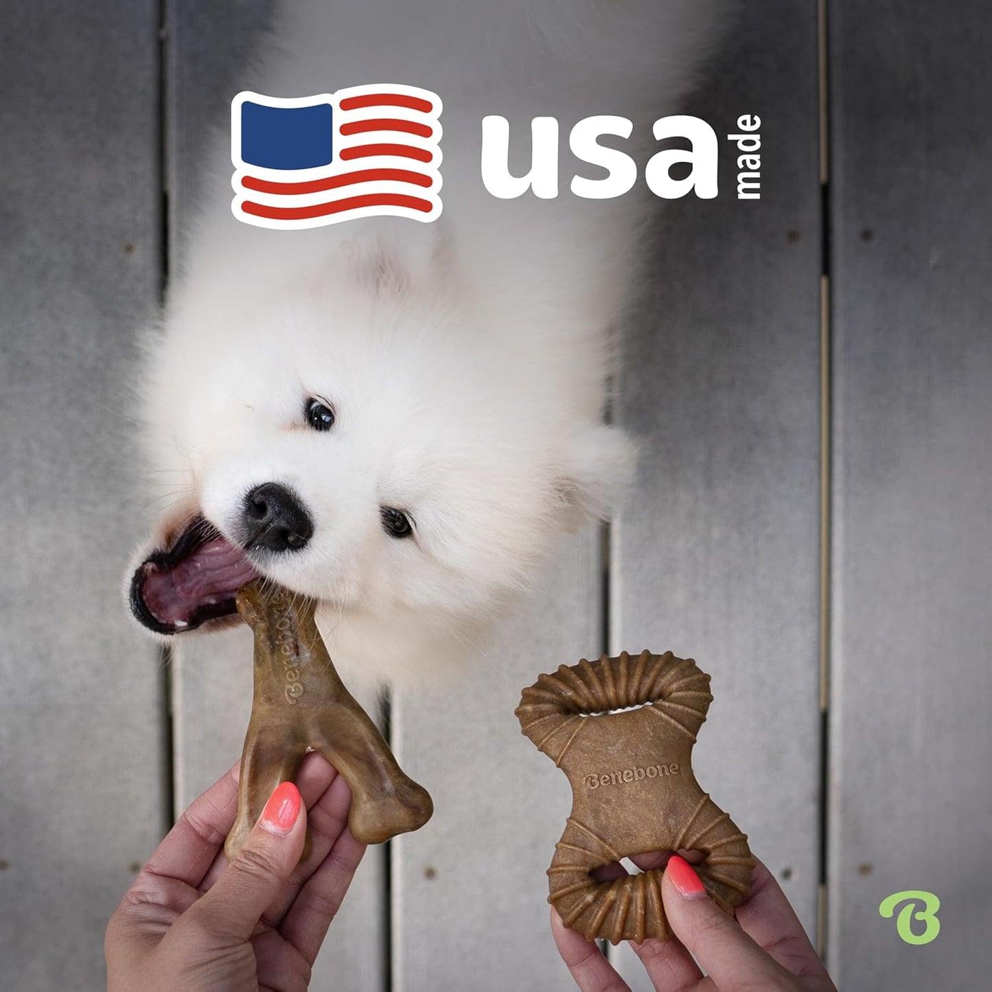 Benebone 4-Pack Durable Dog Chew Toys for Aggressive Chewers, Real Flavors, Made in USA, Medium