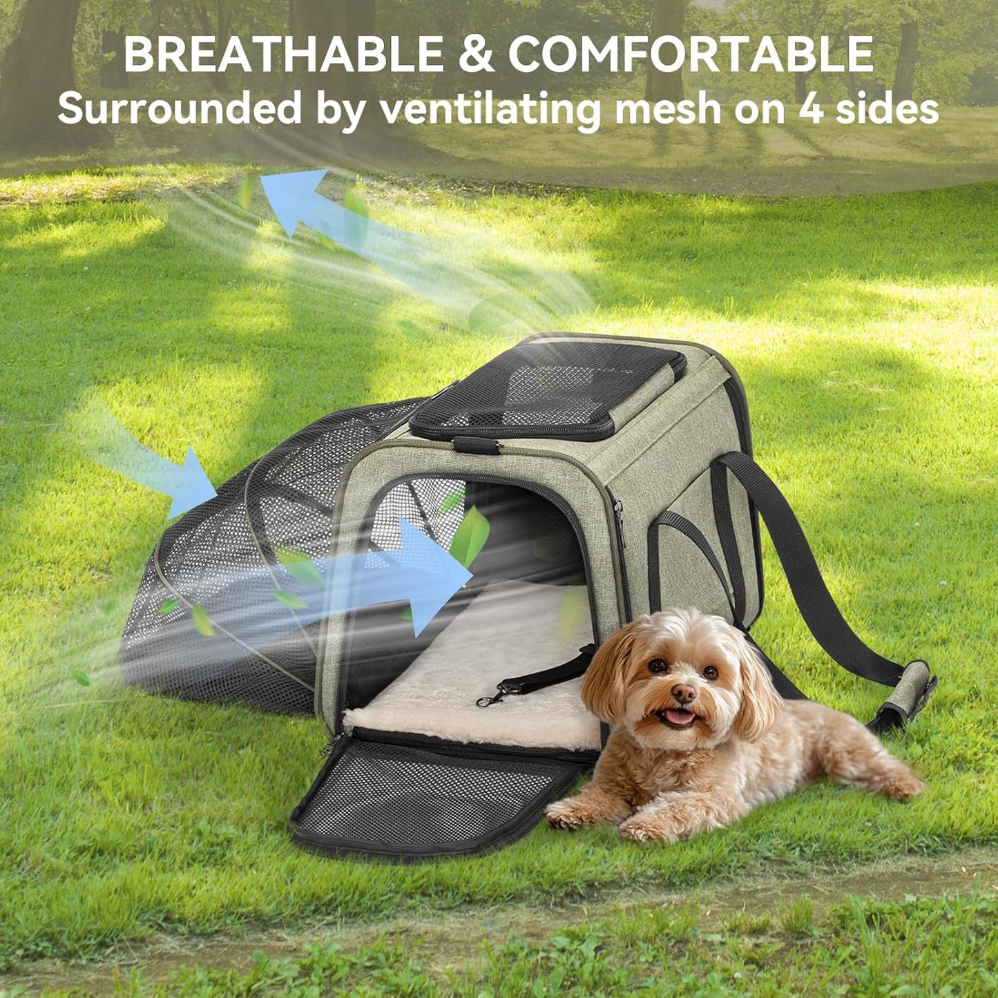 Petsfit Expandable Cat Dog Carrier Airline Approved, 17" L x 11" W x 11" H Soft-Sided Portable Pet Travel Carrier for Kitten, Puppy, Removable Soft Plush Mat and Pockets, Auto-Locking Zippers