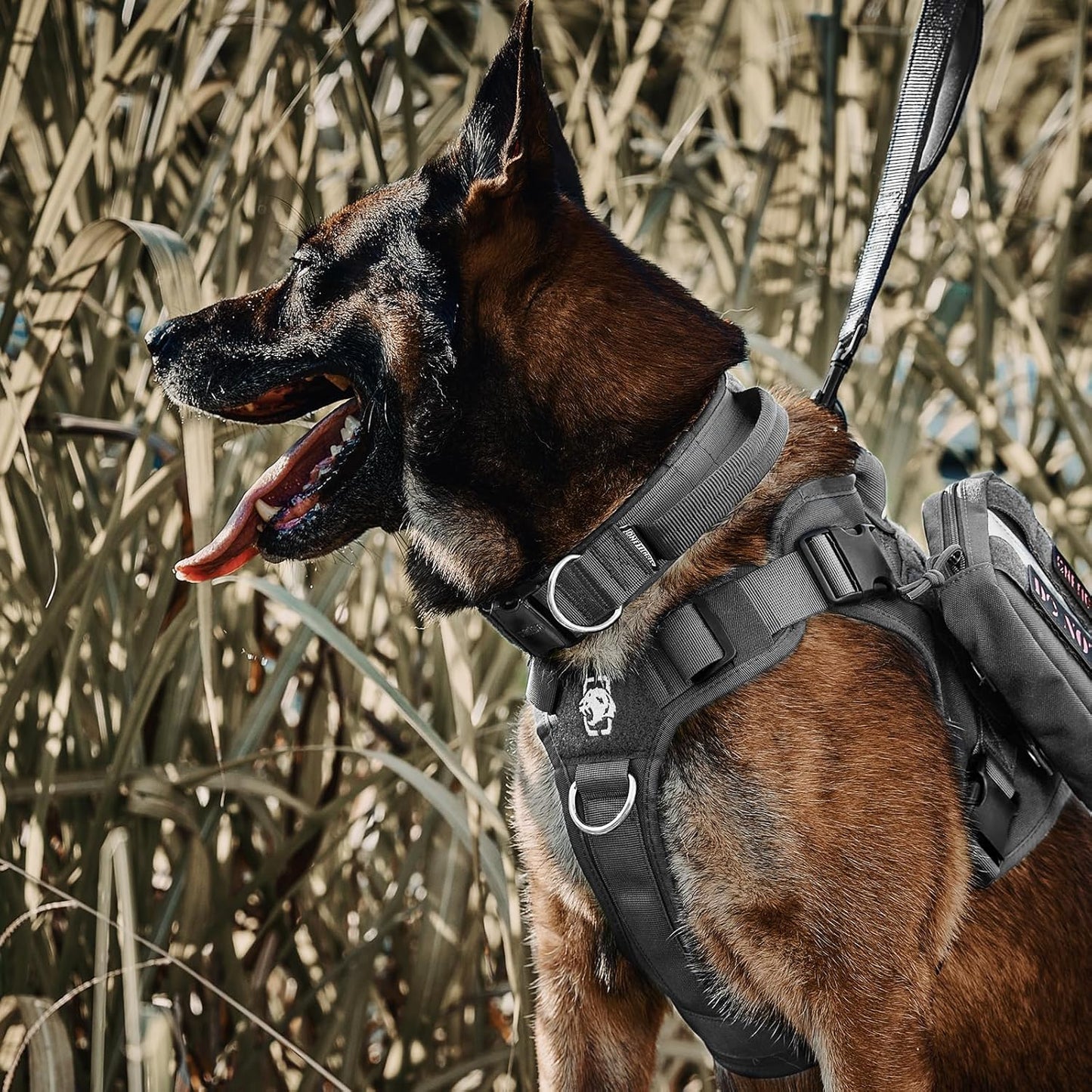 OneTigris Tactical Dog Collars with Handle,Military Dog Collar for Large Dog,Adjustable Nylon Collar German Shepherd Collar with Heavy Duty Metal Buckle for Dog Training and Walking (M, Orange)