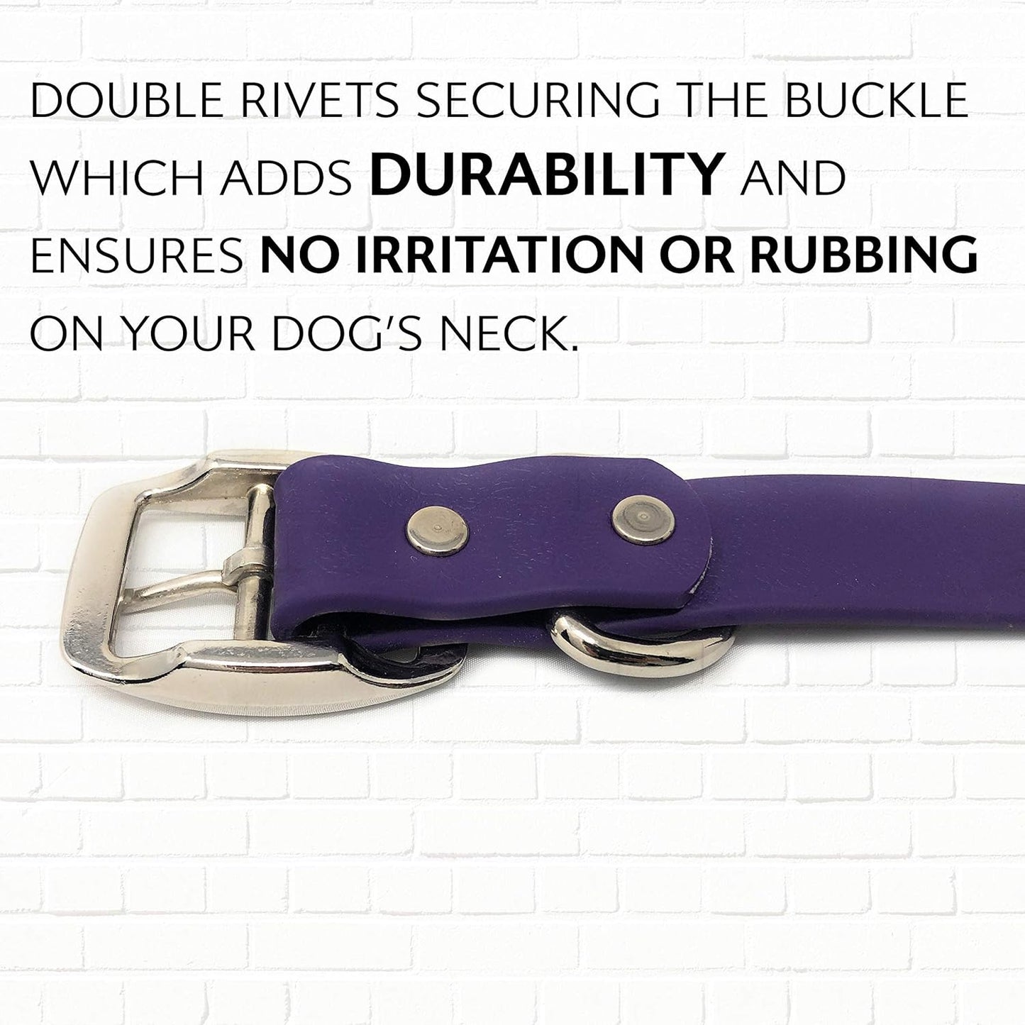 Regal Dog Products Medium Orange Dog Collar with Heavy Duty Double Buckle & D Ring | Vinyl Coated, Custom Fit, Adjustable Biothane Dog Collar Chew Resistant Waterproof Center-Ring Collar for Dogs