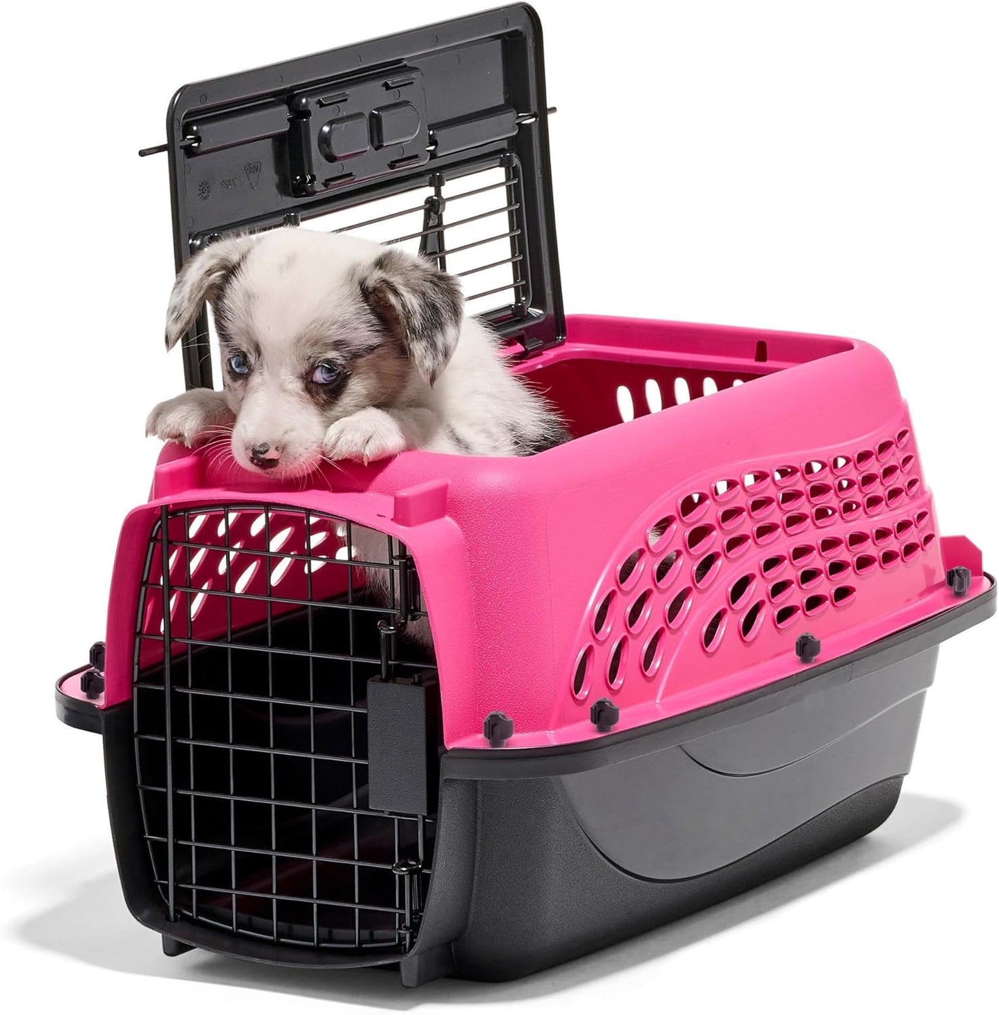 Petmate Two-Door Small Dog Kennel & Cat Kennel (Top Loading or Front Loading Pet Carrier, Great for Small Animals, Made with Recycled Materials, 24 inches in Length) For Pets up to 15 Pounds