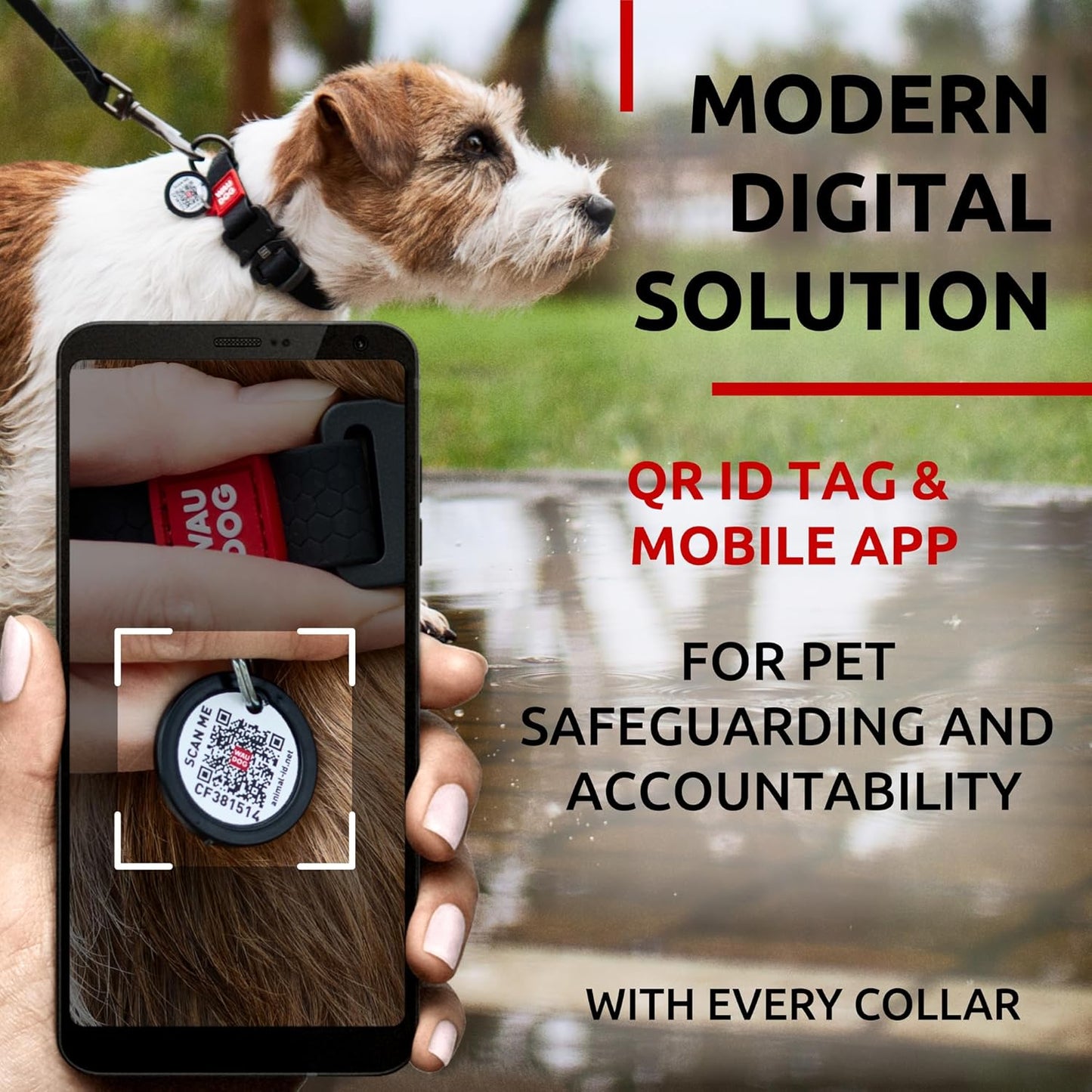 Waterproof Dog Collar - Adjustable Glow Dog Collar for Large Dogs, Small and Medium Dogs - Heavy Duty Dog Collars with Durable Metal Clasp and QR Dog Tag - Glow in The Dark Dog Collars