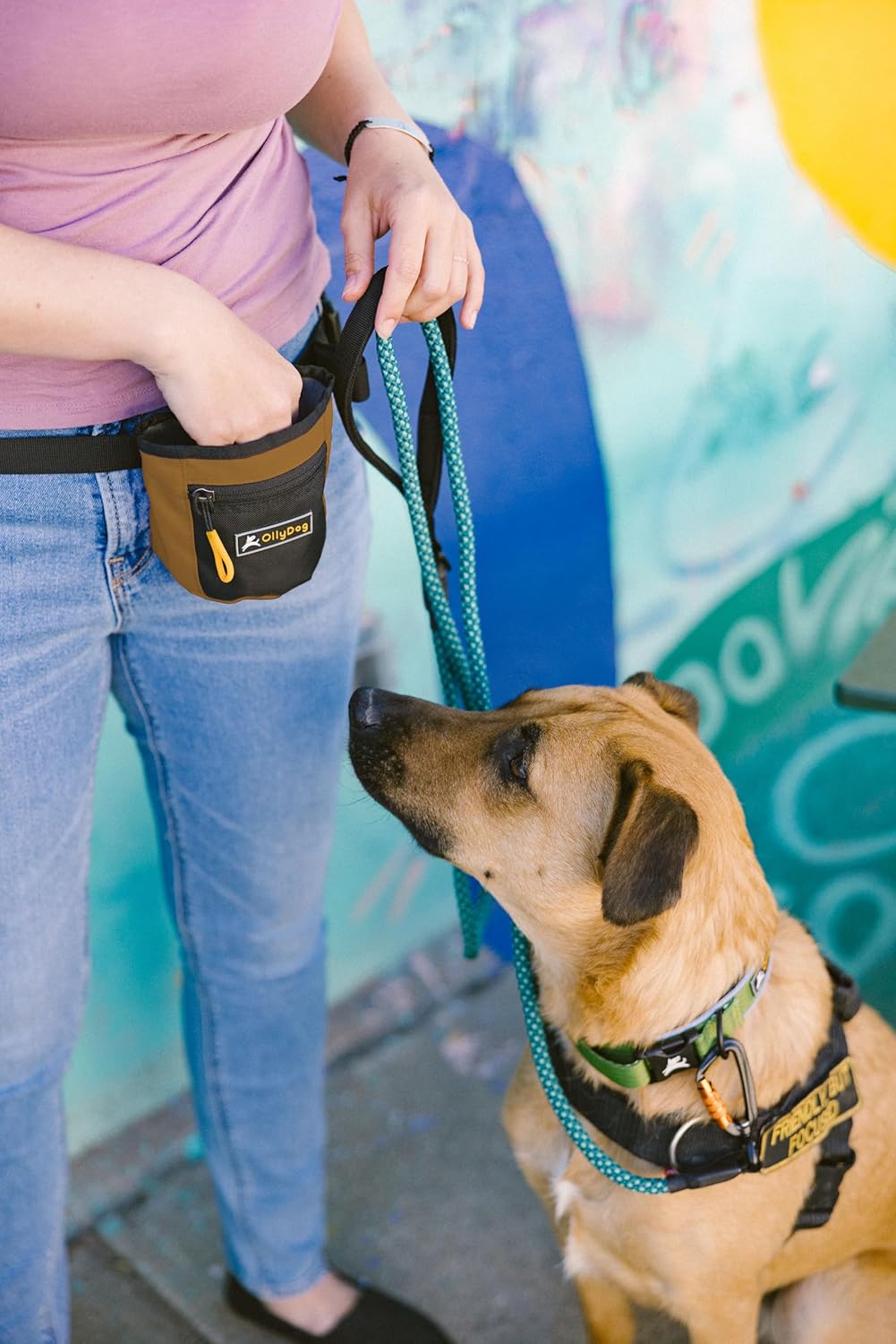 OllyDog Goodie Treat Bag, Dog Treat Pouch, Waist Belt Clip for Hands-Free Training, Magnetic Closure, Dog Training and Behavior Aids, Three Ways to Wear (Iceberg Green)