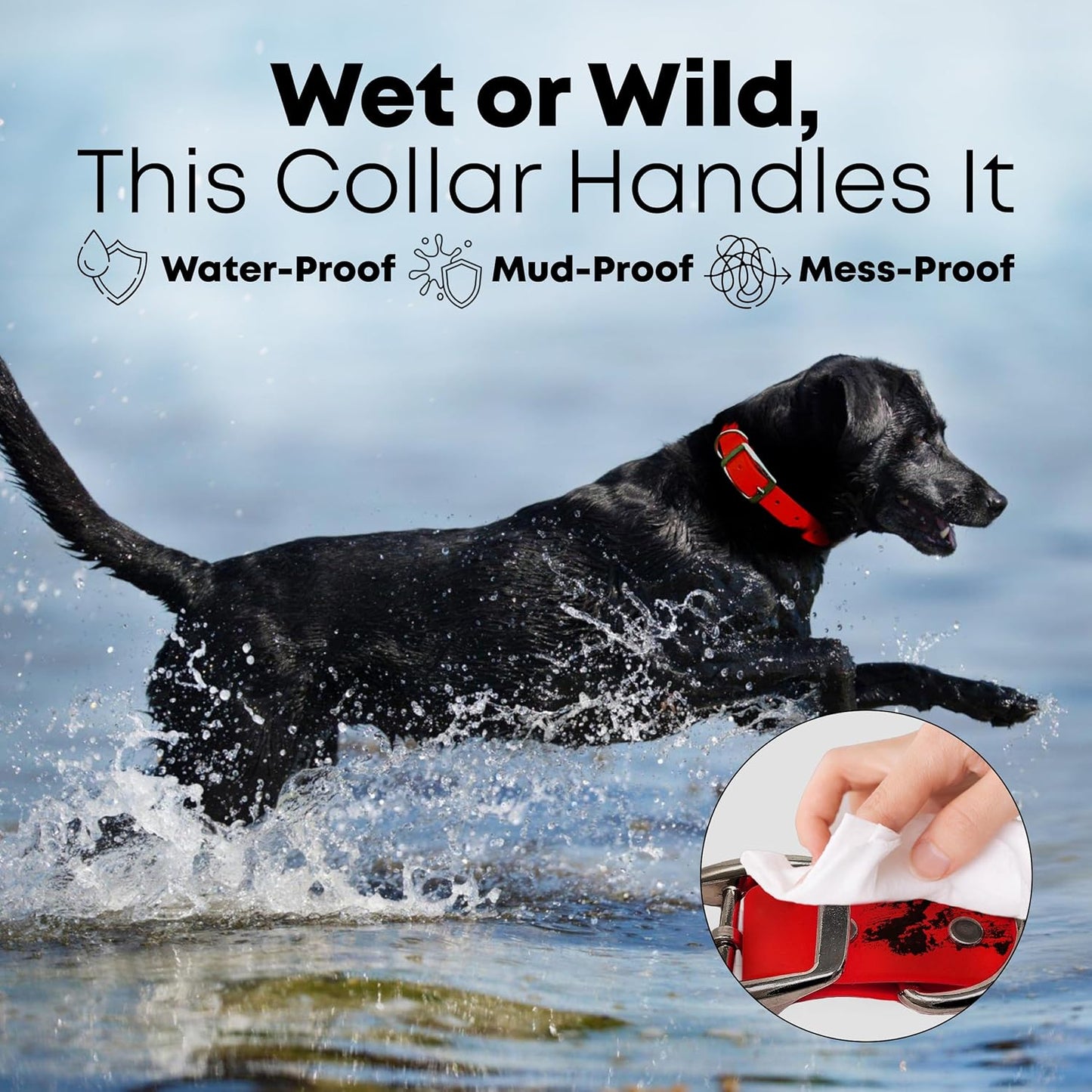 Regal Dog Products Medium Orange Dog Collar with Heavy Duty Double Buckle & D Ring | Vinyl Coated, Custom Fit, Adjustable Biothane Dog Collar Chew Resistant Waterproof Center-Ring Collar for Dogs