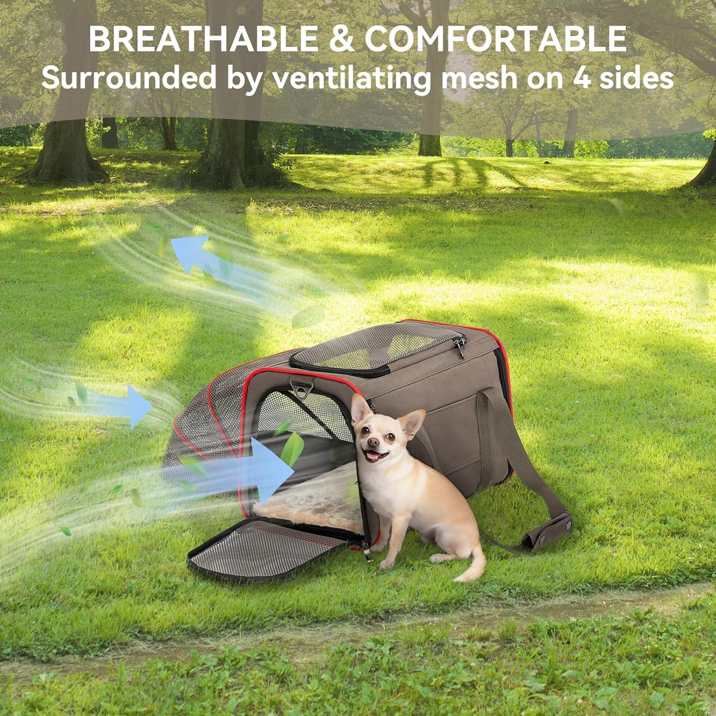 Petsfit Expandable Cat Dog Carrier Airline Approved, 17" L x 11" W x 11" H Soft-Sided Portable Pet Travel Carrier for Kitten, Puppy, Removable Soft Plush Mat and Pockets, Auto-Locking Zippers