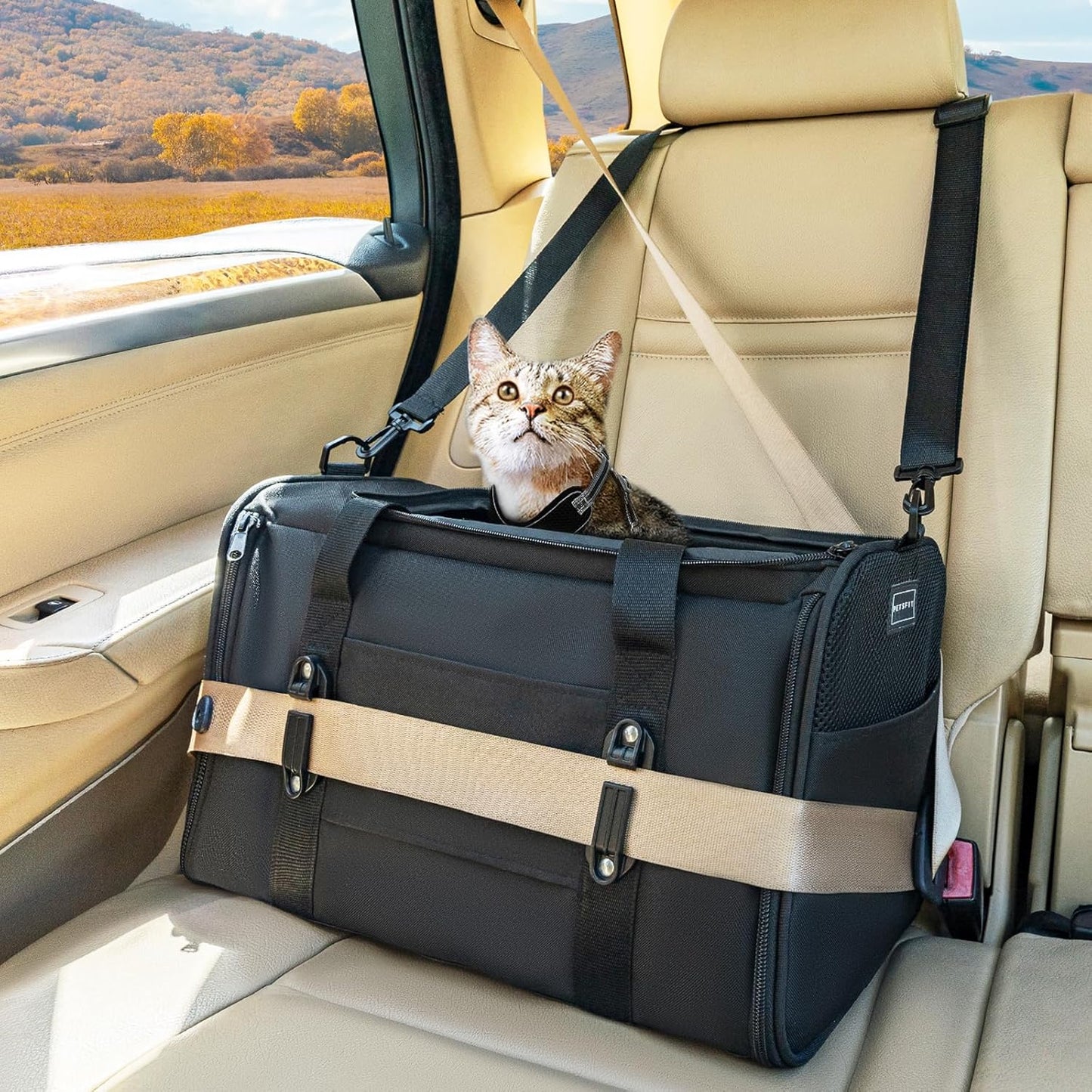 Petsfit Pet Carrier Airline Approved, Soft-Sided Cat Carrier with Patented Car Buckle, Lightweight and Collapsible with Adjustable Shoulder Strap, Soft Cushion,Green