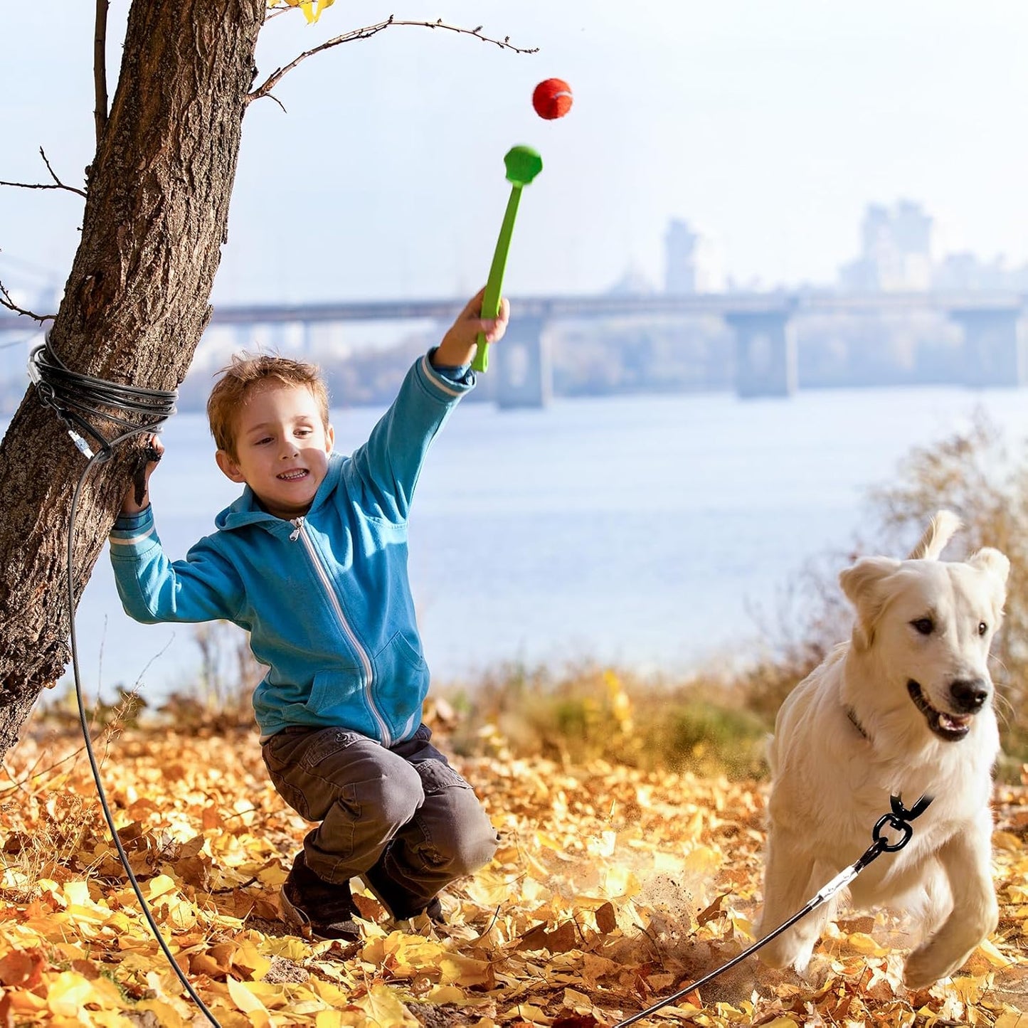 Furggis Dog Tie Out Cable,10/15/20/30/50FT Dog Run Cable for Yard and Camping Outdoor,Heavy Duty Dog Tether for Medium Large Dogs Chew Proof,1000lbs Break Strength,Reflective