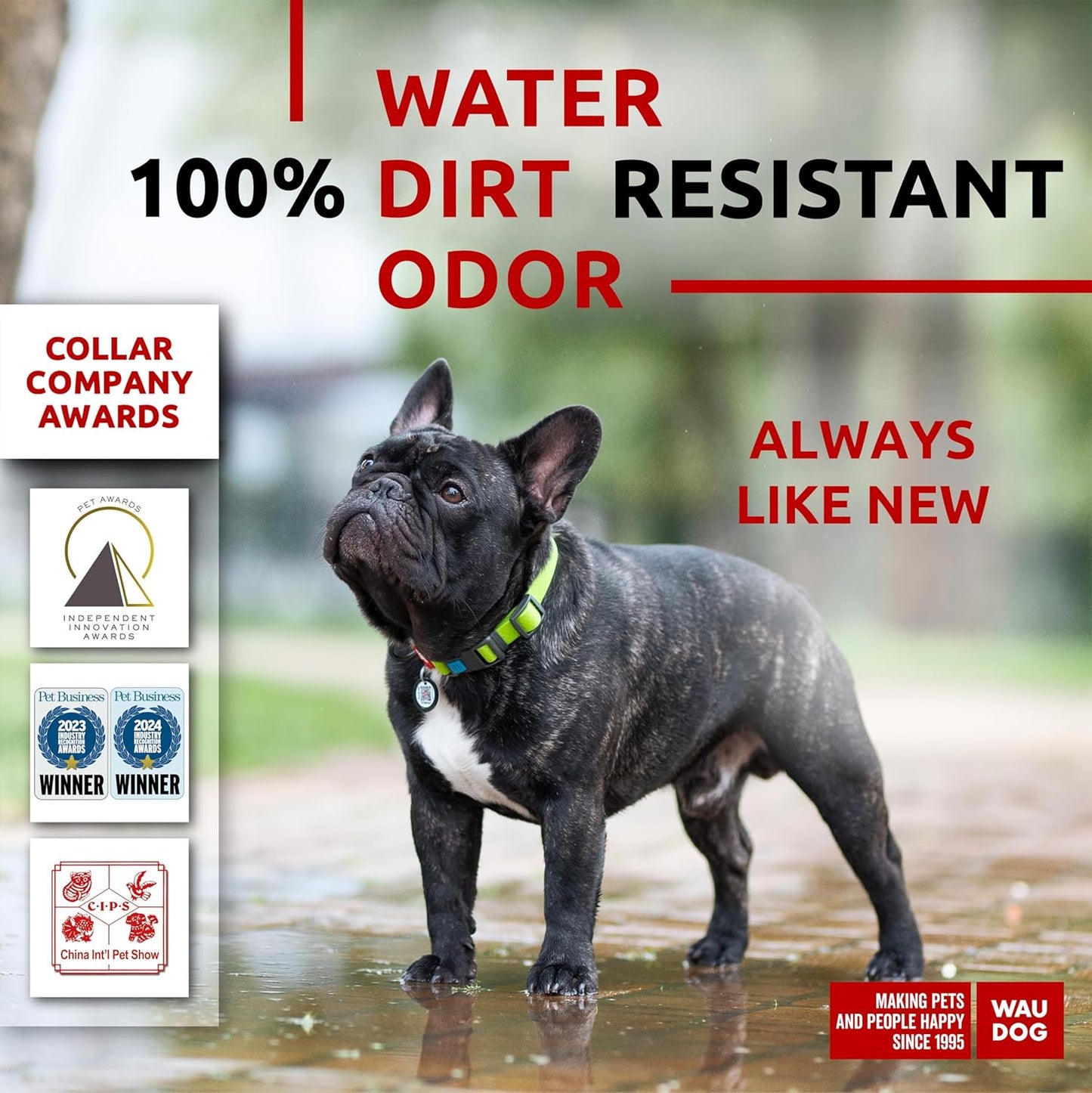 Waterproof Dog Collar - Adjustable Glow Dog Collar for Large Dogs, Small and Medium Dogs - Heavy Duty Dog Collars with Durable Metal Clasp and QR Dog Tag - Glow in The Dark Dog Collars