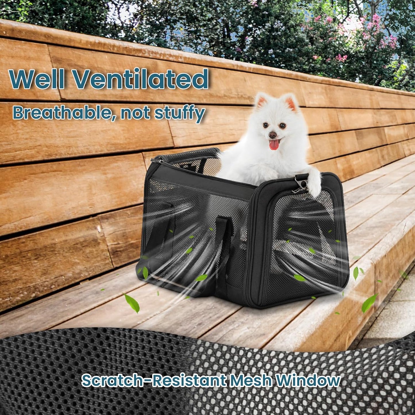 Petsfit Pet Carrier Airline Approved, Soft-Sided Cat Carrier with Patented Car Buckle, Lightweight and Collapsible with Adjustable Shoulder Strap, Soft Cushion,Green