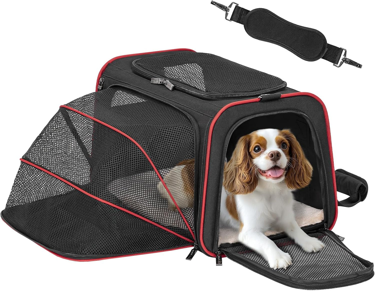 Petsfit Expandable Cat Dog Carrier Airline Approved, 17" L x 11" W x 11" H Soft-Sided Portable Pet Travel Carrier for Kitten, Puppy, Removable Soft Plush Mat and Pockets, Auto-Locking Zippers