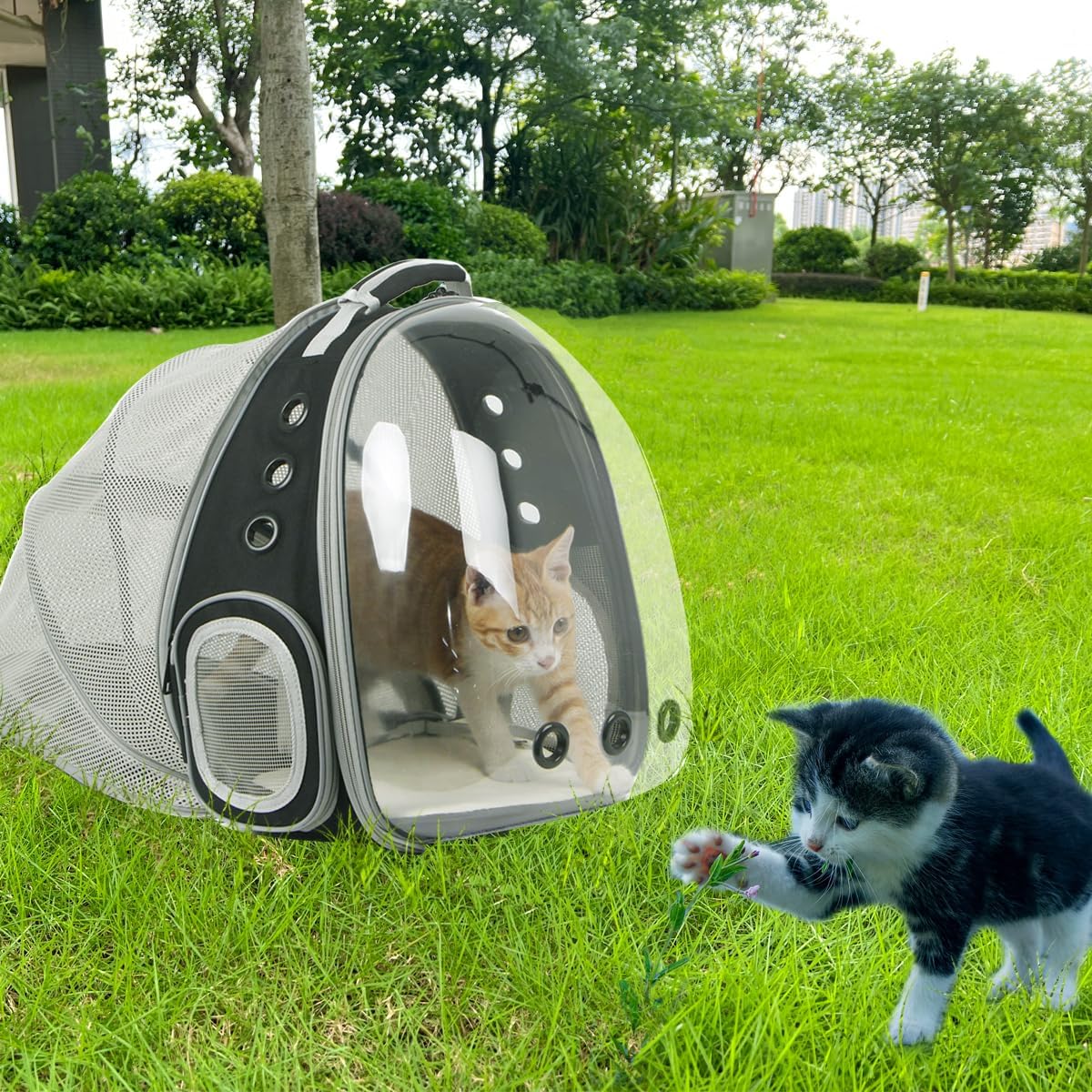 WEVONIGU Front Expandable Cat Backpack Carrier,Fit up to 16 lbs,Pet Carrier Backpack,Space Capsule Astronaut Bubble Window Bag,Cats and Puppies,Airline-Approved,Designed for Travel,Hiking,Walking