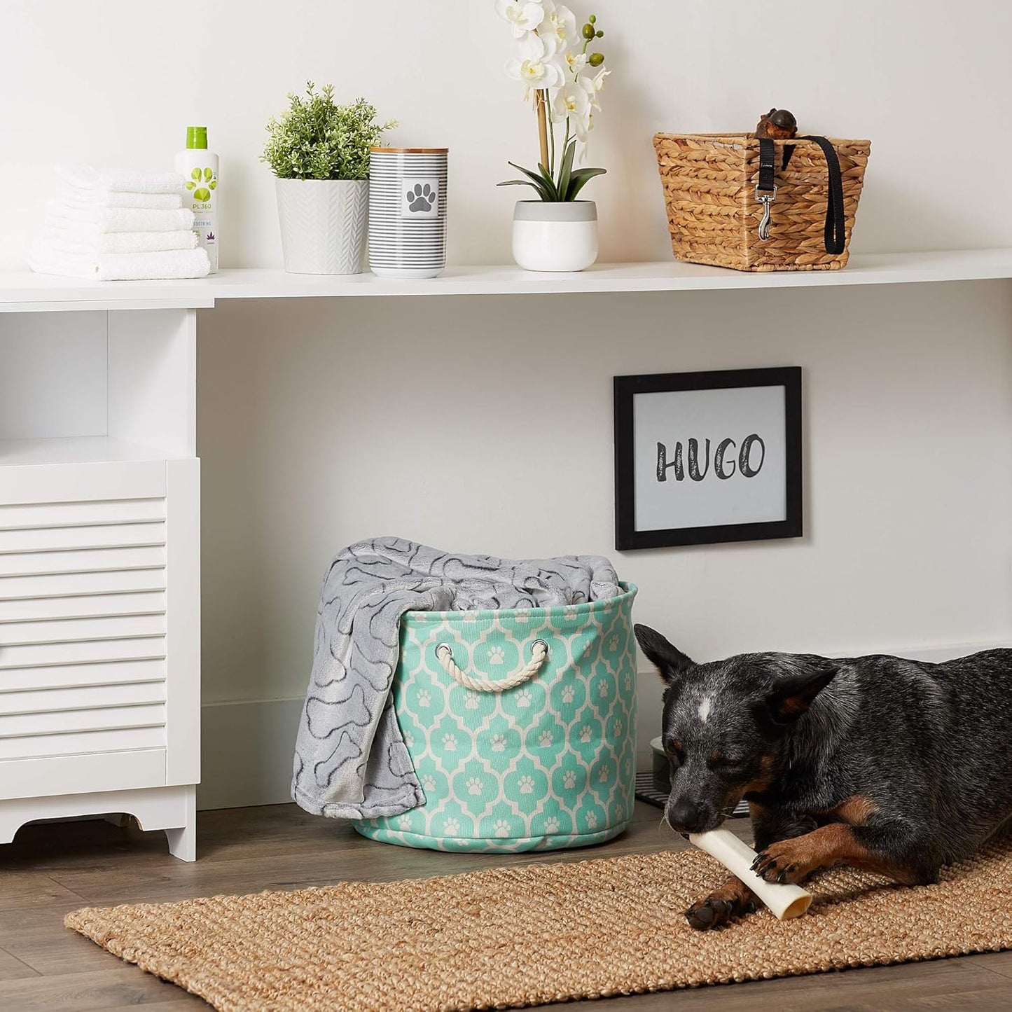 DII Bone Dry RoundSmall Pet Toy and Accessory Storage Bin, 12"(Dia) x9(H), Collapsible Organizer Storage Basket for Home Decor, Pet Toy, Blankets, Leashes and Food-Gray Stripes