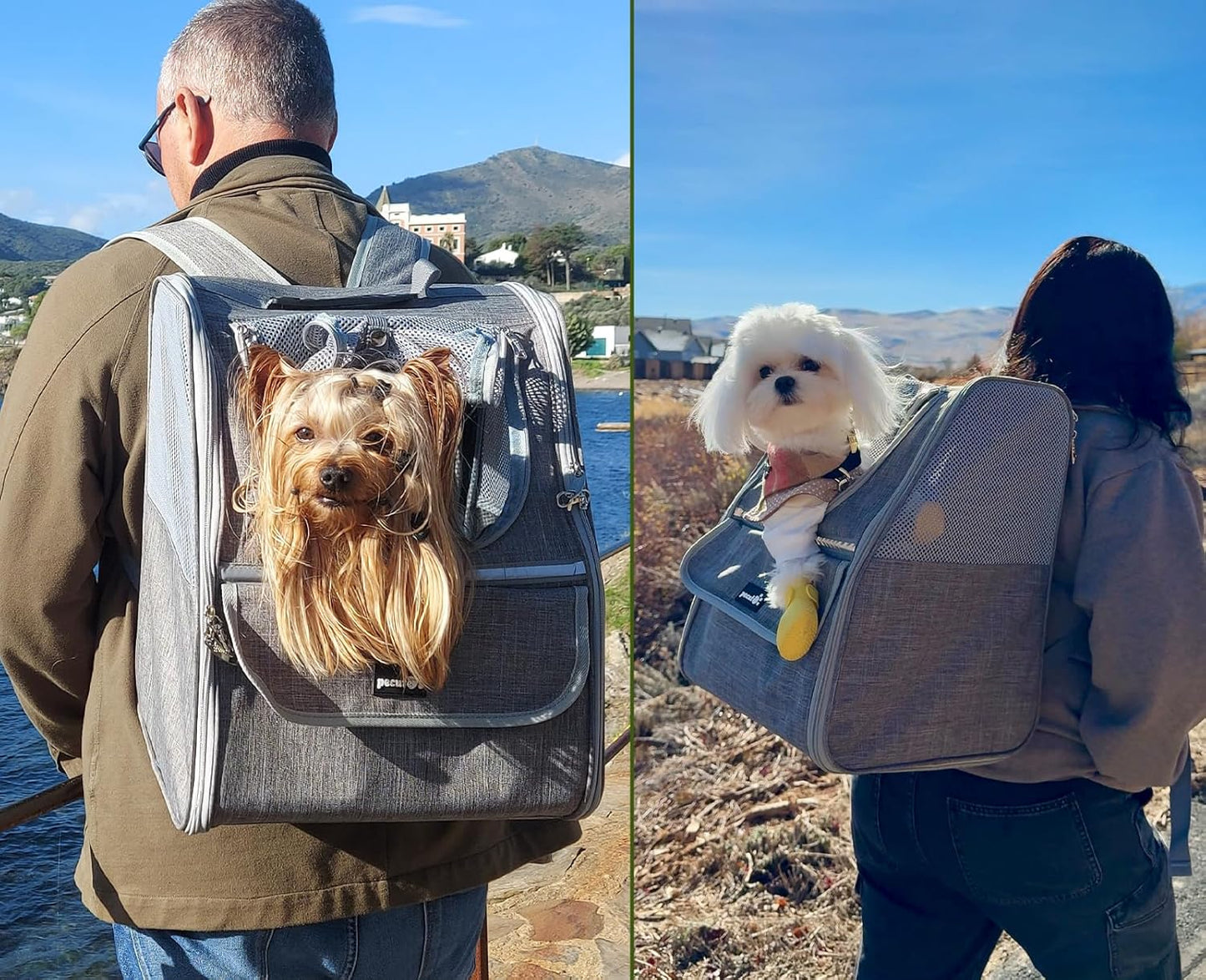 Pecute Expandable Cat Backpack Carrier, Small Dog Backpack Carrier, Pet Backpack Carriers for Cats Dogs Puppy Kitten, Cat Carriers Bag Carrying for Travel Hiking Bike Riding Walking Outdoor,Grey
