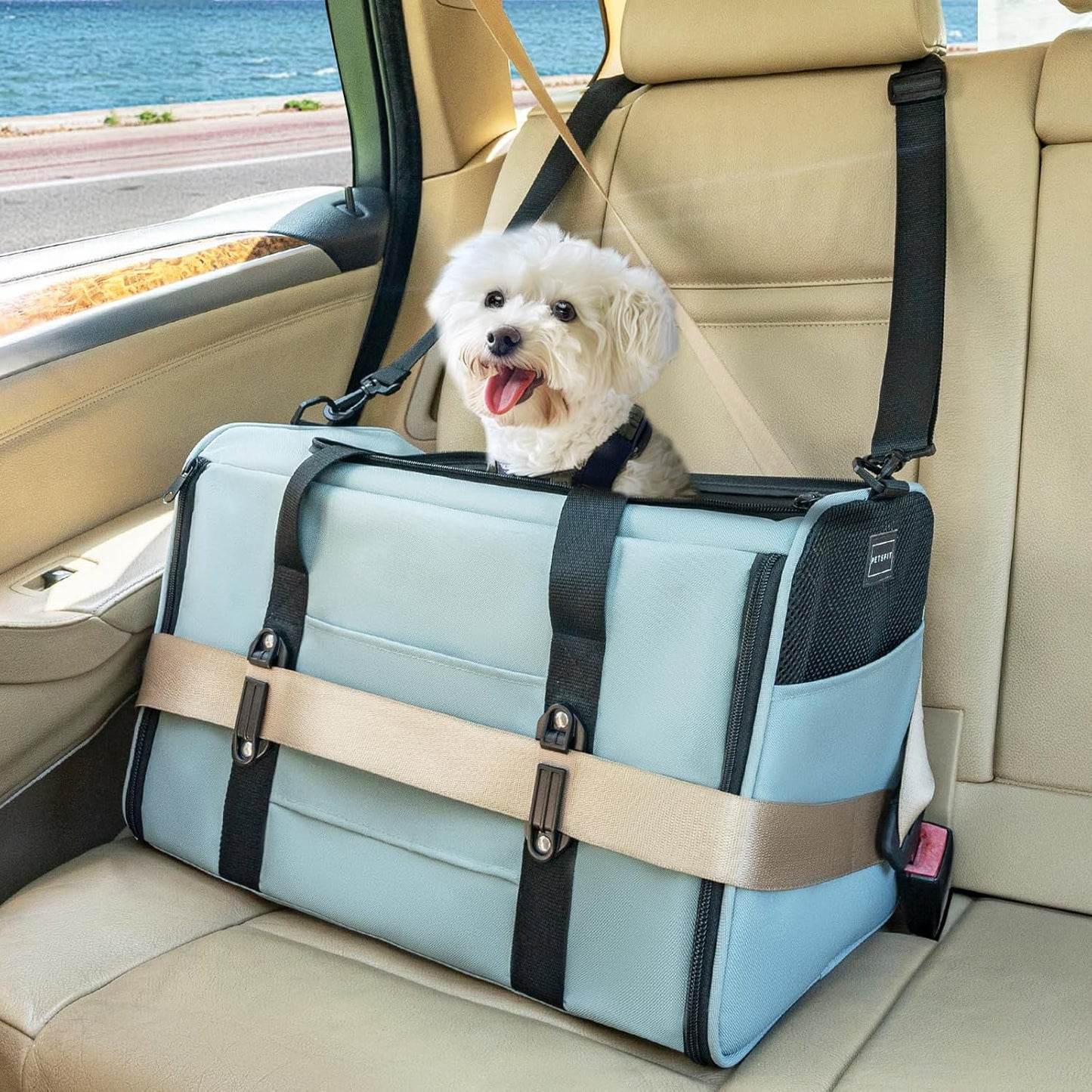 Petsfit Pet Carrier Airline Approved, Soft-Sided Cat Carrier with Patented Car Buckle, Lightweight and Collapsible with Adjustable Shoulder Strap, Soft Cushion,Green