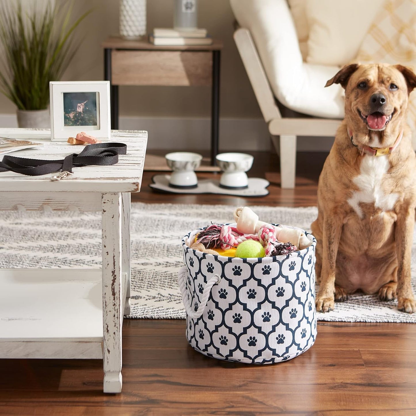 DII Bone Dry RoundSmall Pet Toy and Accessory Storage Bin, 12"(Dia) x9(H), Collapsible Organizer Storage Basket for Home Decor, Pet Toy, Blankets, Leashes and Food-Gray Stripes