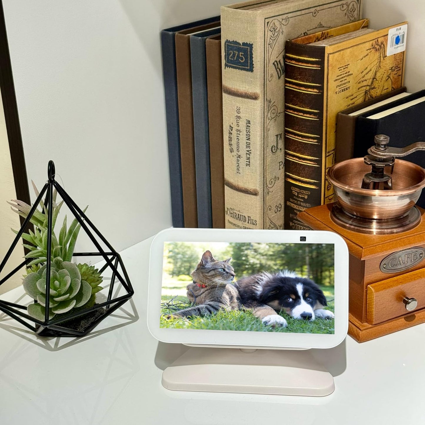 Sintron Adjustable Magnetic Stand Mount for Echo Show 5 (3rd Gen) & iPhone Models, Smart Display Stand Holder for Show 5 3rd Gen with 360 Degree Rotation, Swivel Tilt Function, Anti-Slip Base (Black)