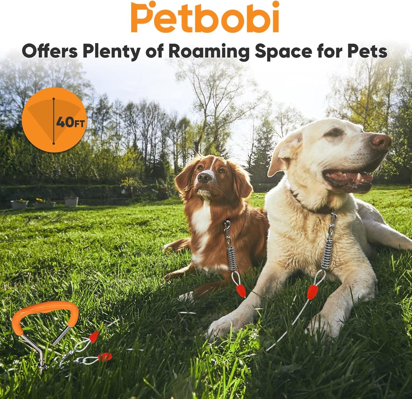 Petbobi Dog Tie-Out Cable and Stake - 30ft Heavy Duty Cable with Spring, No Tangle, 16in Ground Stake, Ideal for Yard, Camping and Beach, Suitable for Small Medium Large Dogs Up to 120 lbs, Blue