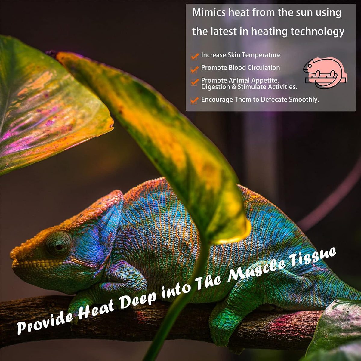 Deep Heat Projector Reptile Heat Lamp Bulb (160W, PAR38), Basking Light for Bearded Dragon & Leopard Gecko, Carbon Infrared Heater for Amphibian Pet