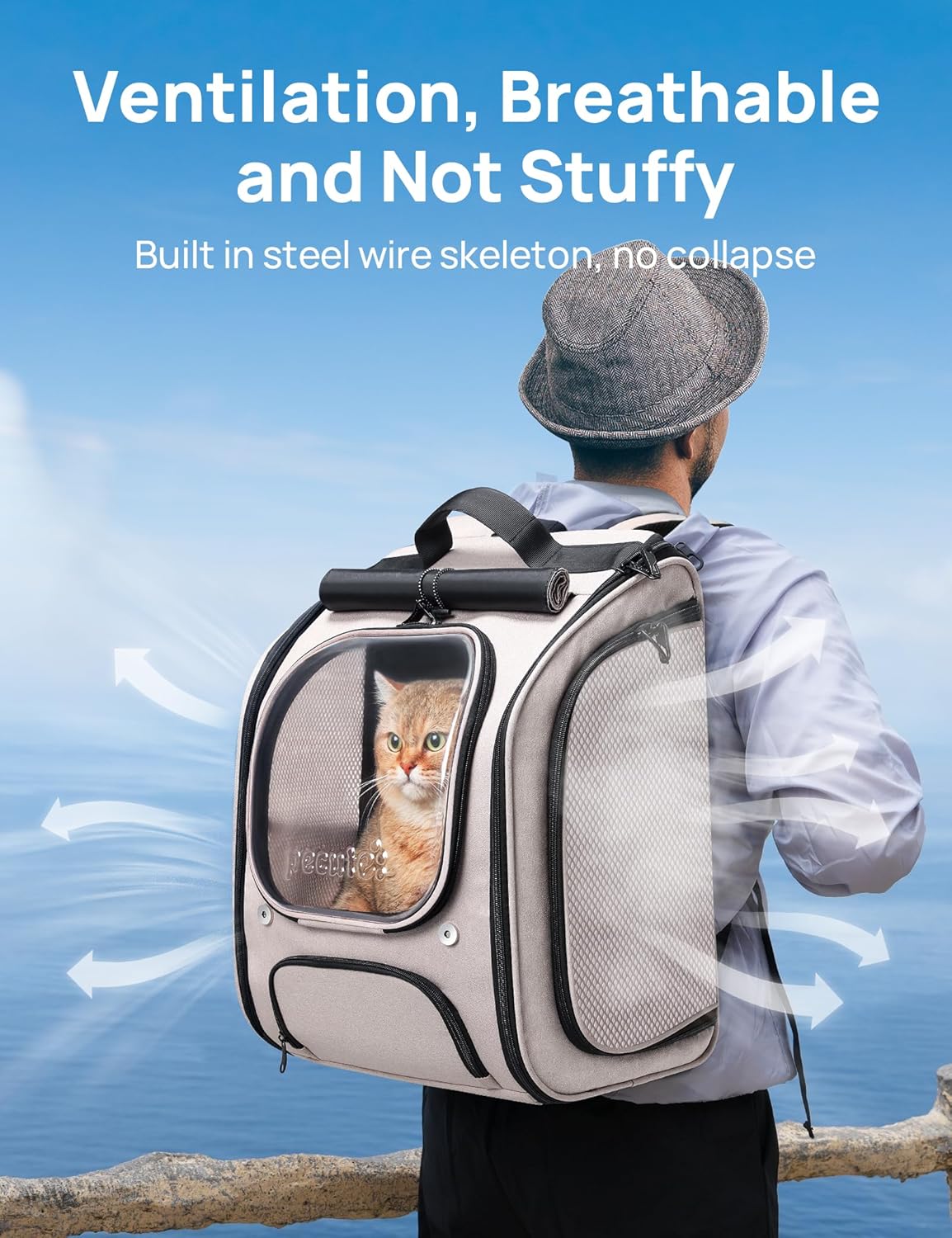 Pecute Bubble Cat Backpack, Large Space Cat Backpack Carrier with Breathable Mesh, Cat Carrier with Space Capsule Clear Bubble Window for Kitten and Puppy, Used in Travel Hiking Walking Outdoor,Green