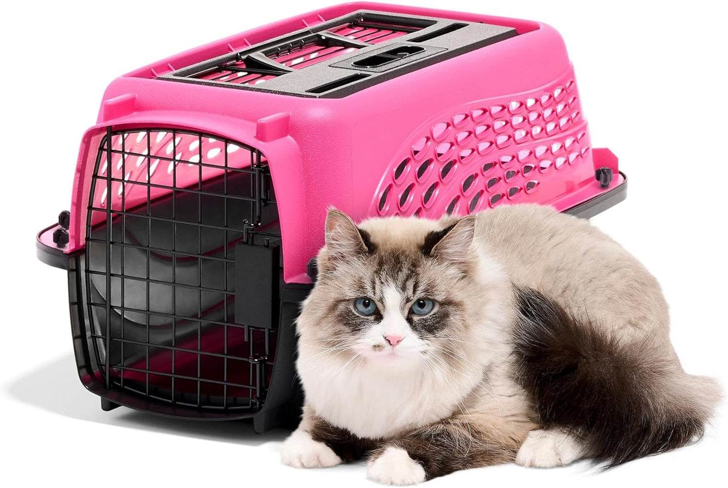 Petmate Two-Door Small Dog Kennel & Cat Kennel (Top Loading or Front Loading Pet Carrier, Great for Small Animals, Made with Recycled Materials, 24 inches in Length) For Pets up to 15 Pounds