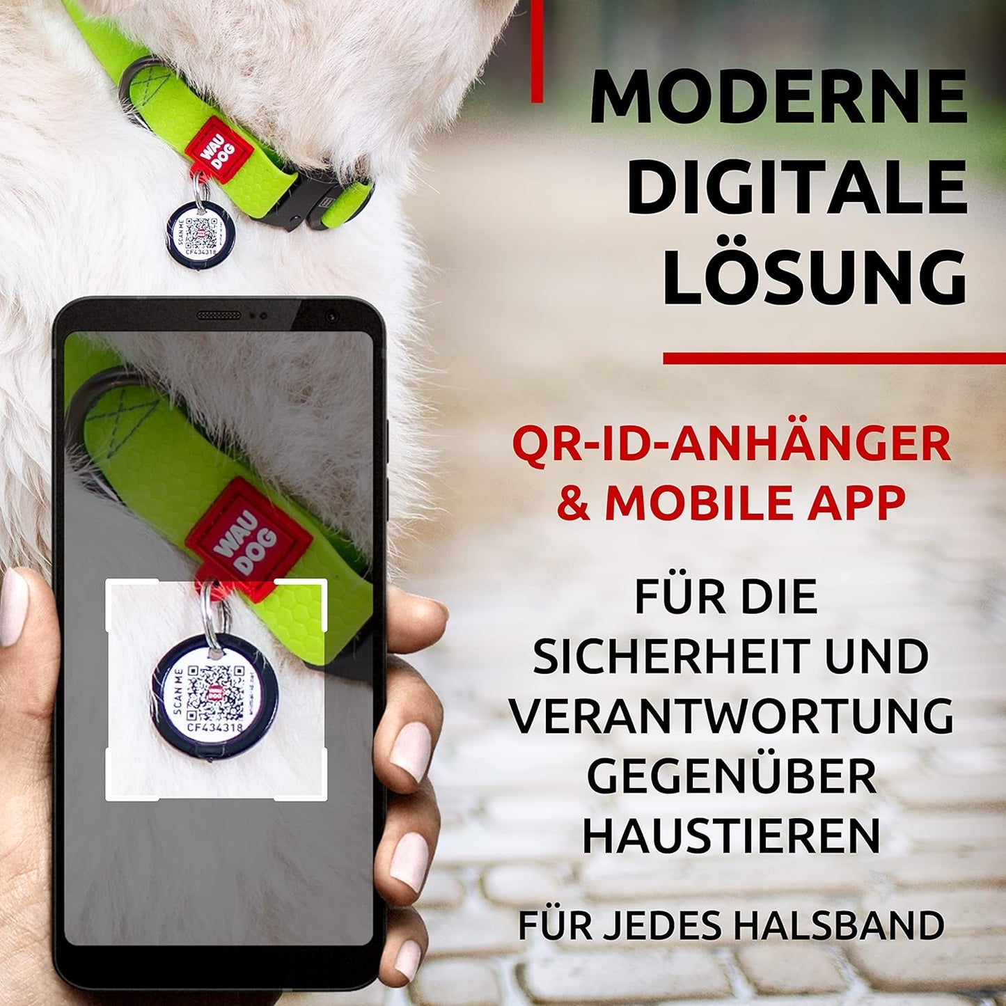 Waterproof Dog Collar - Adjustable Glow Dog Collar for Large Dogs, Small and Medium Dogs - Heavy Duty Dog Collars with Durable Metal Clasp and QR Dog Tag - Glow in The Dark Dog Collars