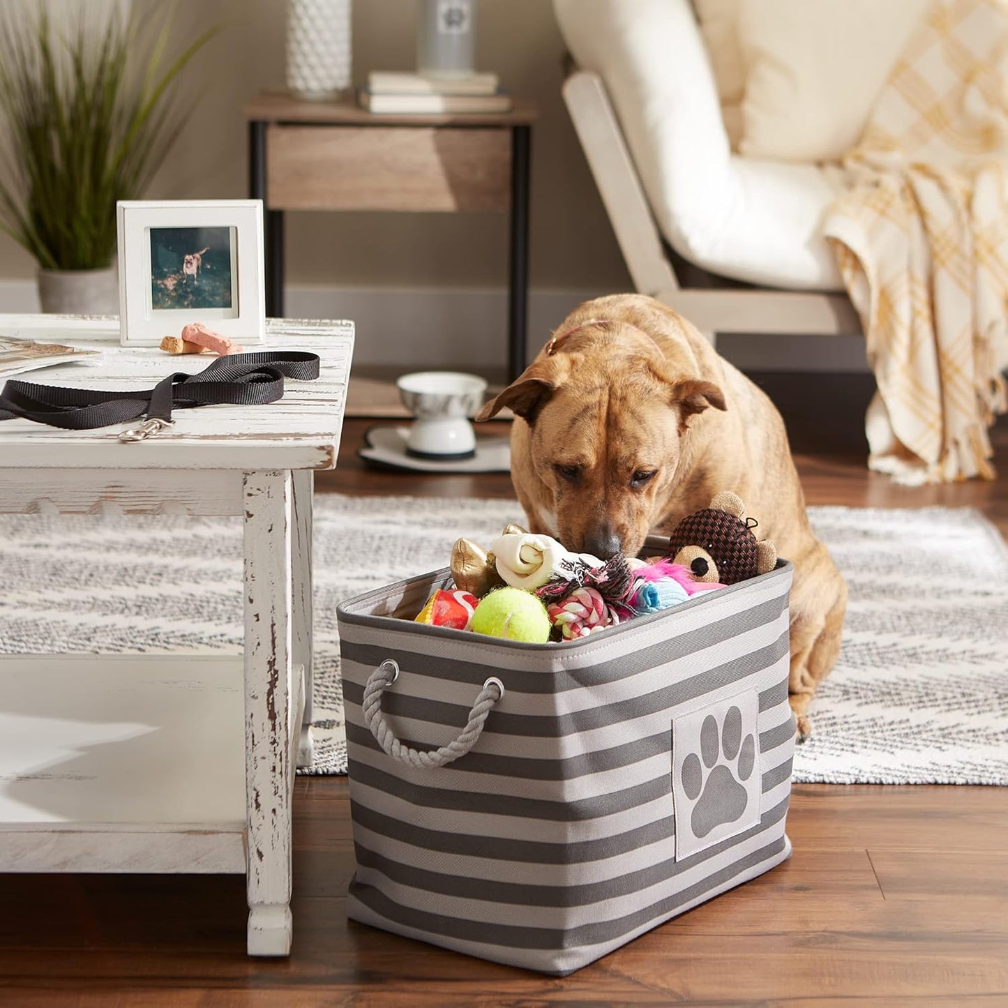 DII Bone Dry RoundSmall Pet Toy and Accessory Storage Bin, 12"(Dia) x9(H), Collapsible Organizer Storage Basket for Home Decor, Pet Toy, Blankets, Leashes and Food-Gray Stripes