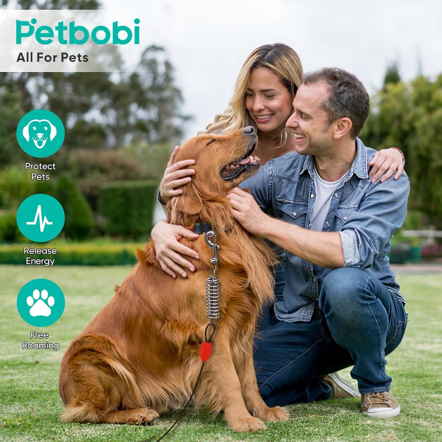 Petbobi Dog Tie-Out Cable and Stake - 30ft Heavy Duty Cable with Spring, No Tangle, 16in Ground Stake, Ideal for Yard, Camping and Beach, Suitable for Small Medium Large Dogs Up to 120 lbs, Blue