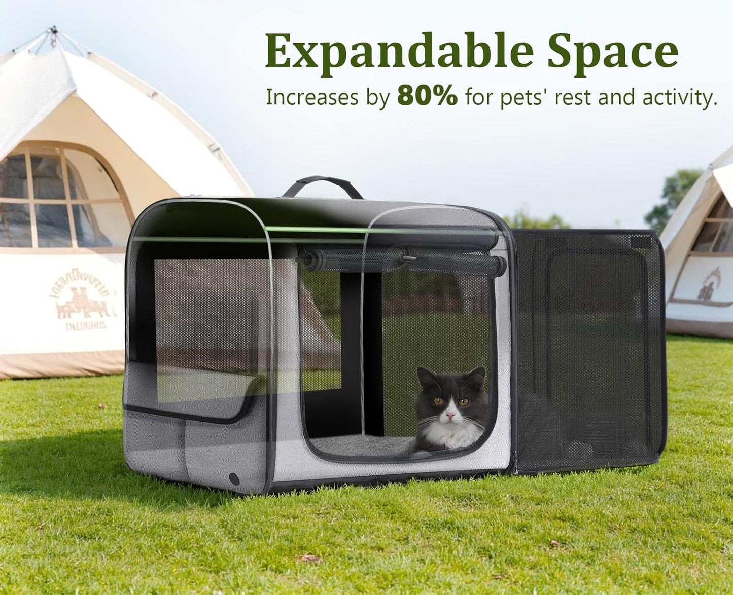 Pecute Collapsible Dog Crate for Pets<15kg, Pet Carrier Stable and Light Weight, Soft Dog Crate with Breathable Windows, Portable Dog Carrier with Curtain 61×45×52 cm (Green)